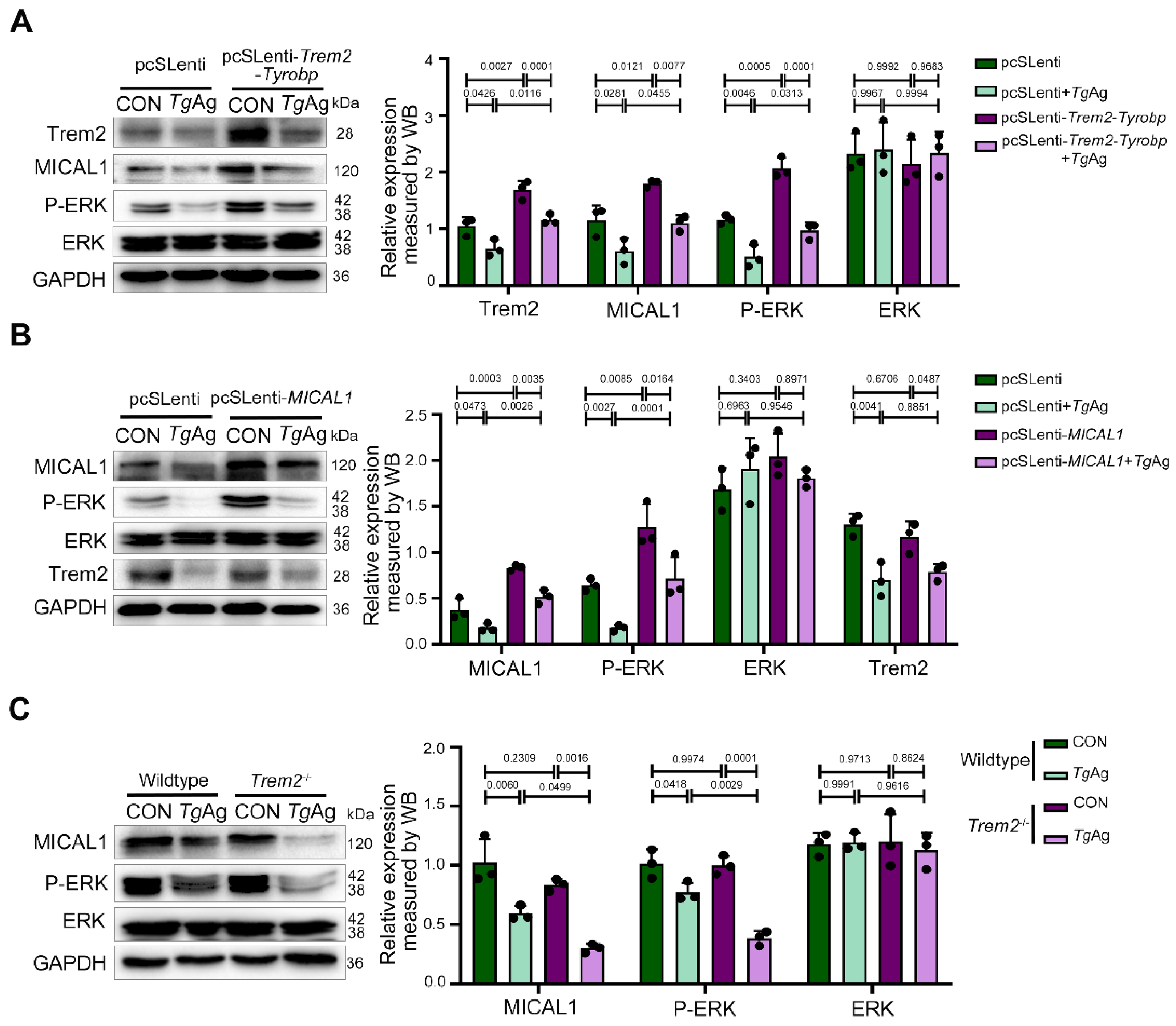 Pathogens 14 01105 g004 Pathogens 14 01105 g004