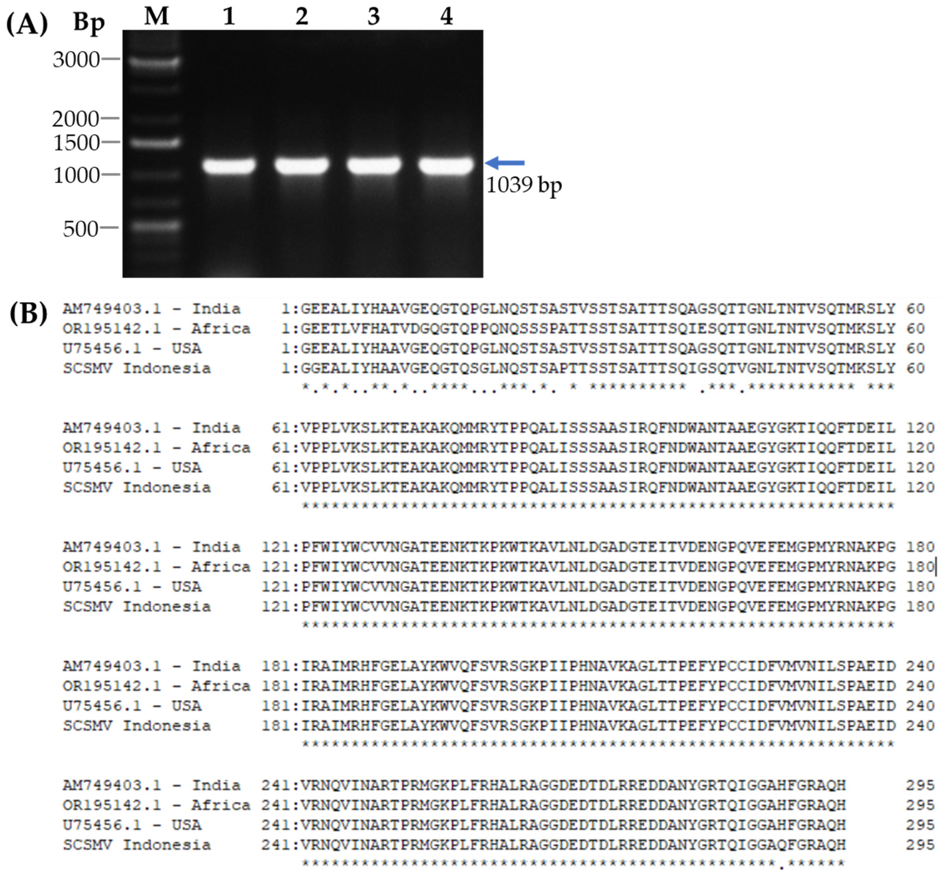 Pathogens 14 01106 g001 Pathogens 14 01106 g001