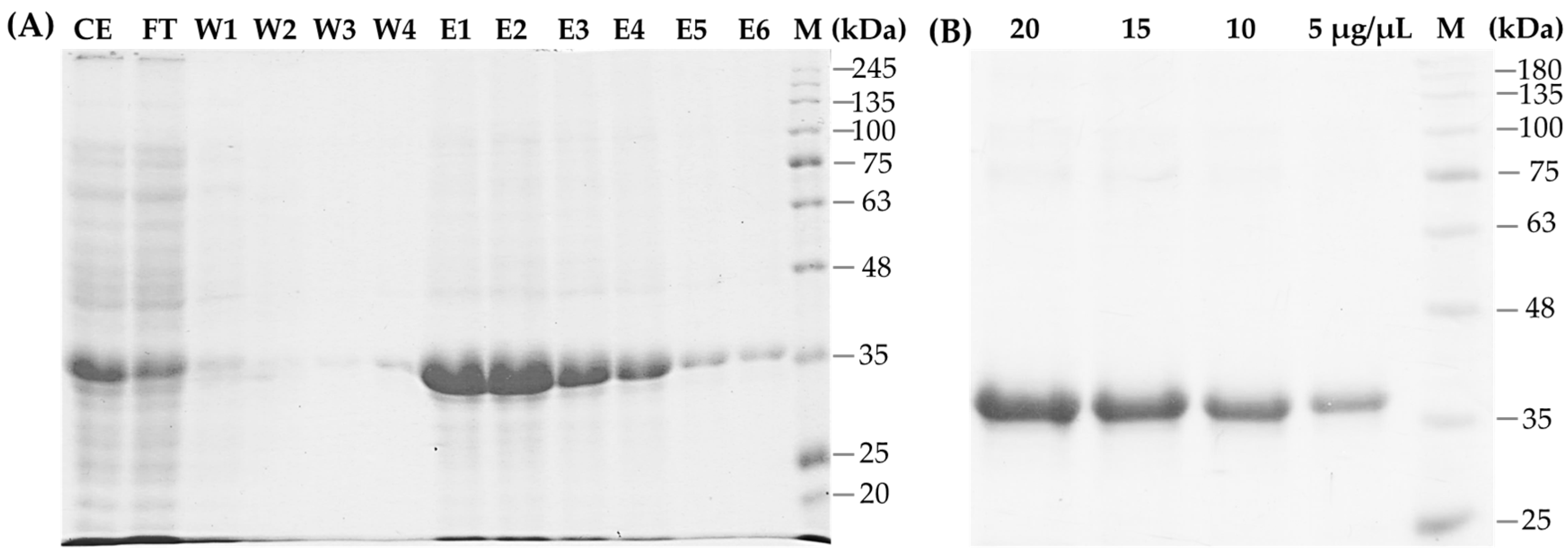 Pathogens 14 01106 g003 Pathogens 14 01106 g003