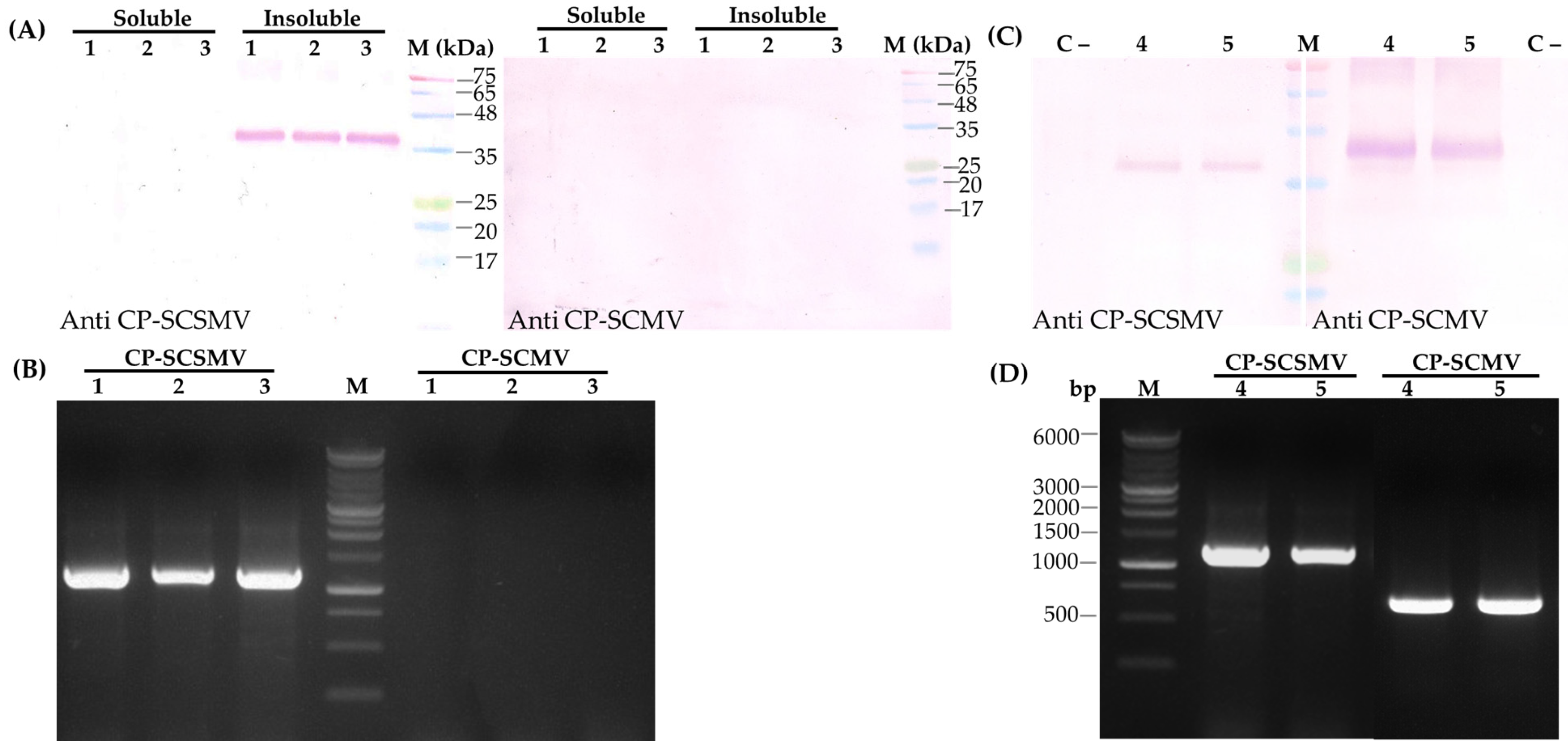 Pathogens 14 01106 g005 Pathogens 14 01106 g005