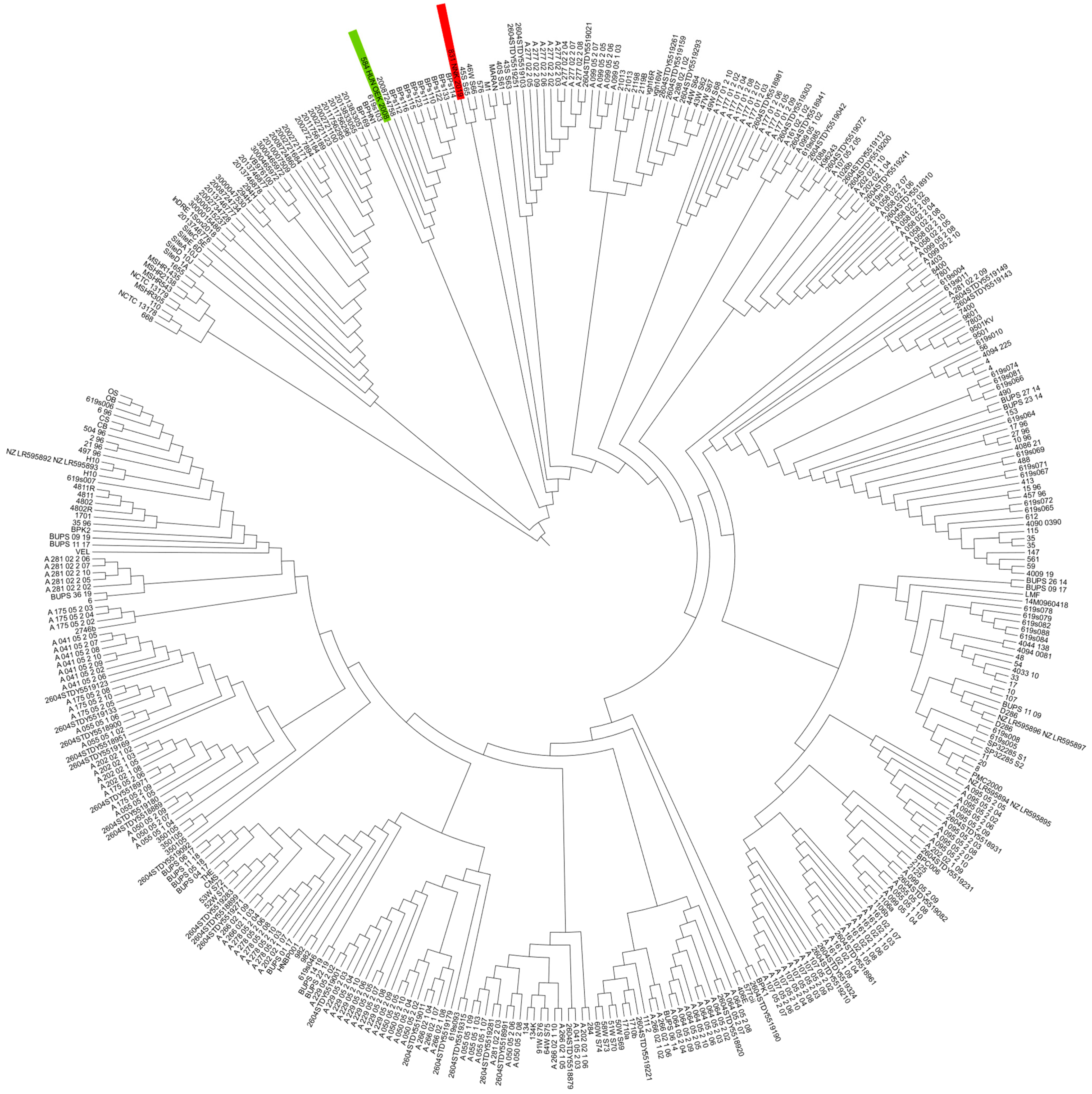 Pathogens 14 01108 g001