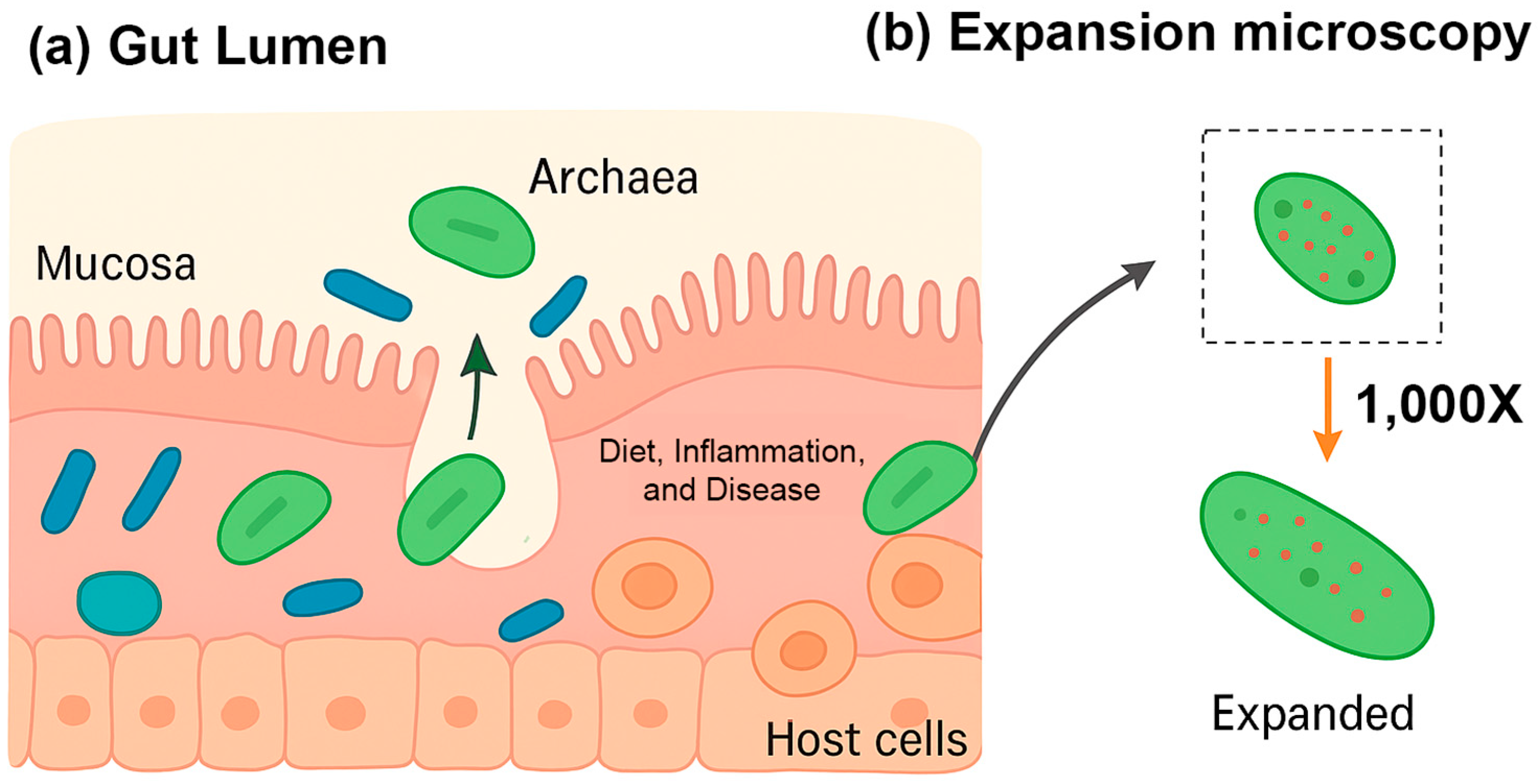 Pathogens 14 01111 g004