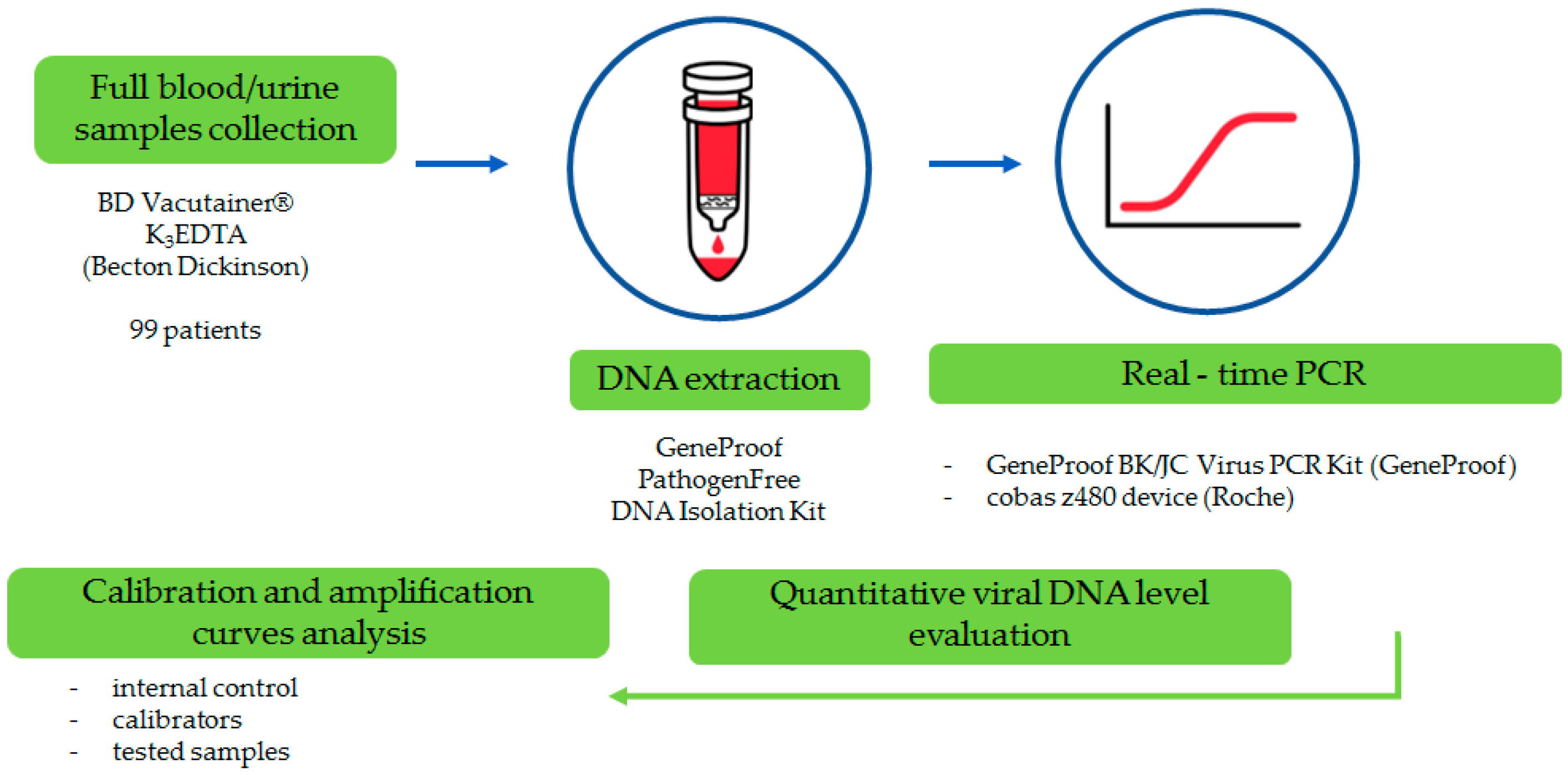 Pathogens 14 01122 g001 Pathogens 14 01122 g001