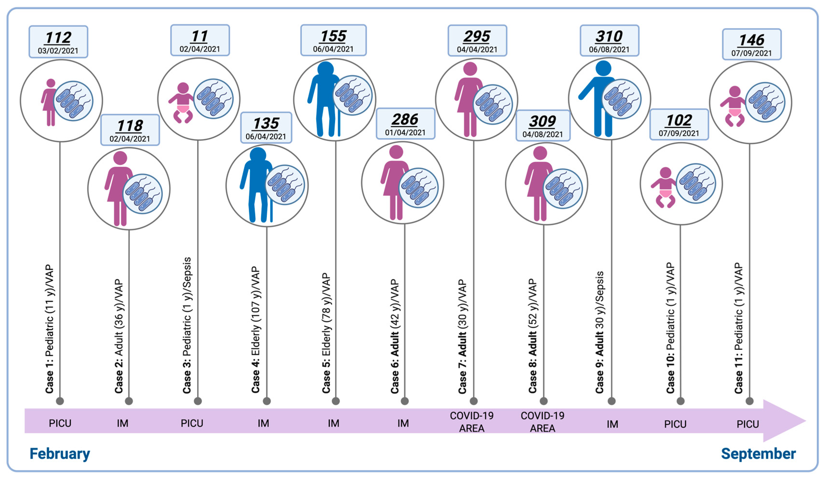 Pathogens 14 01125 g001 Pathogens 14 01125 g001