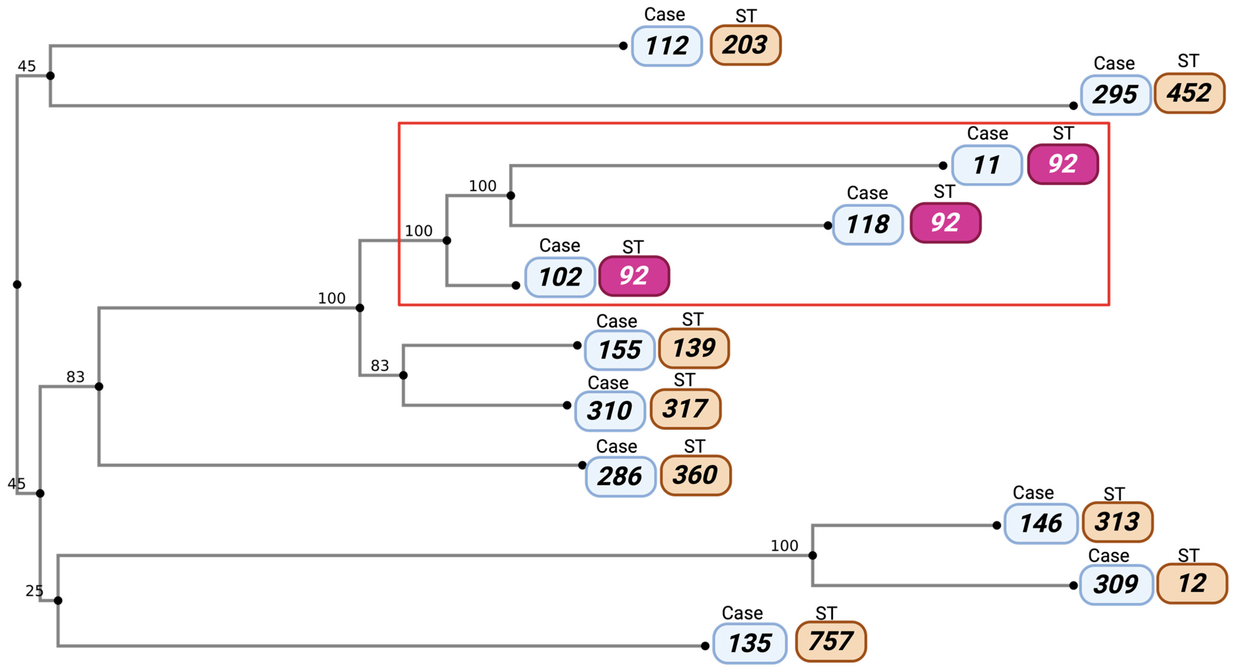 Pathogens 14 01125 g003 Pathogens 14 01125 g003