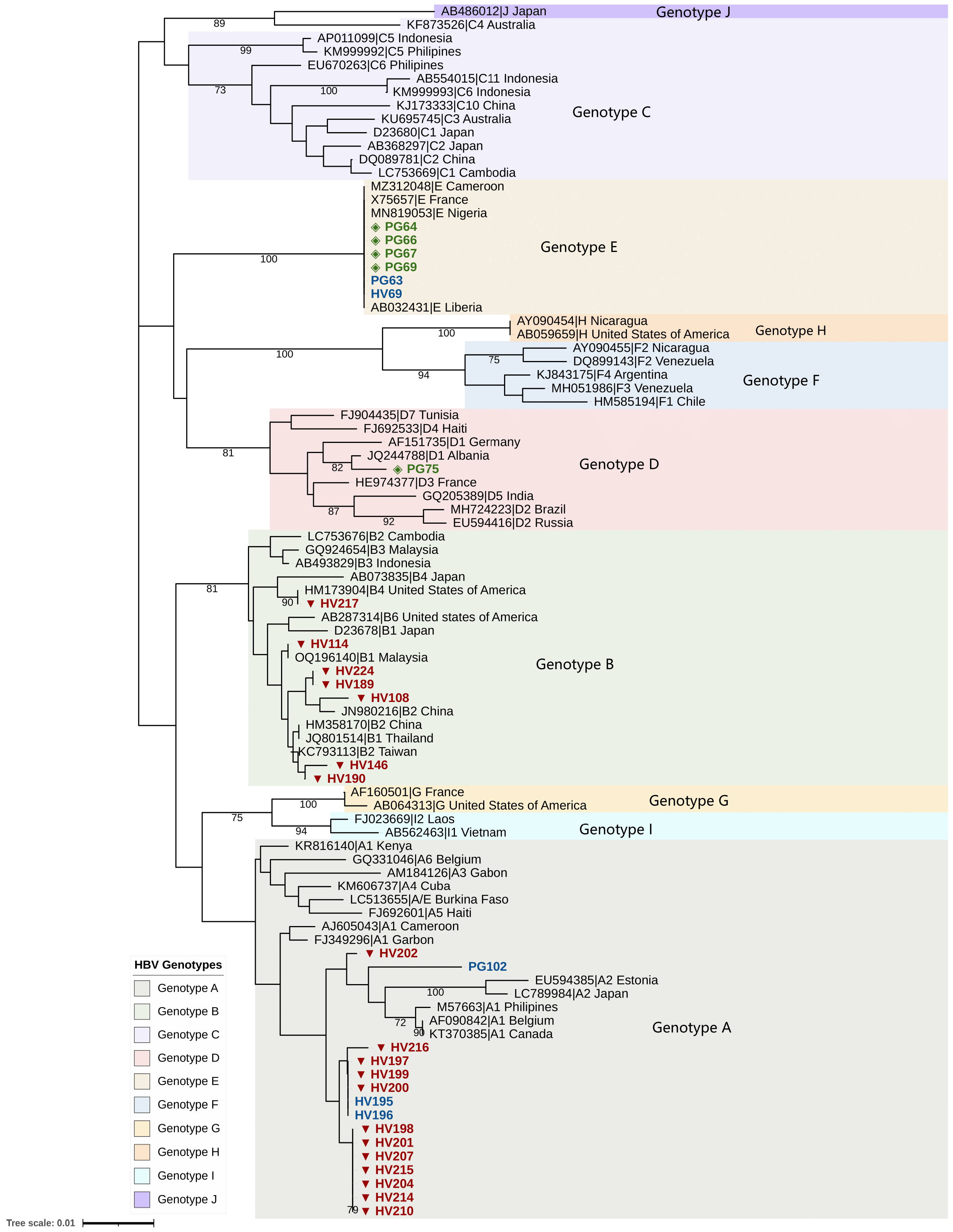 Pathogens 14 01128 g001 Pathogens 14 01128 g001