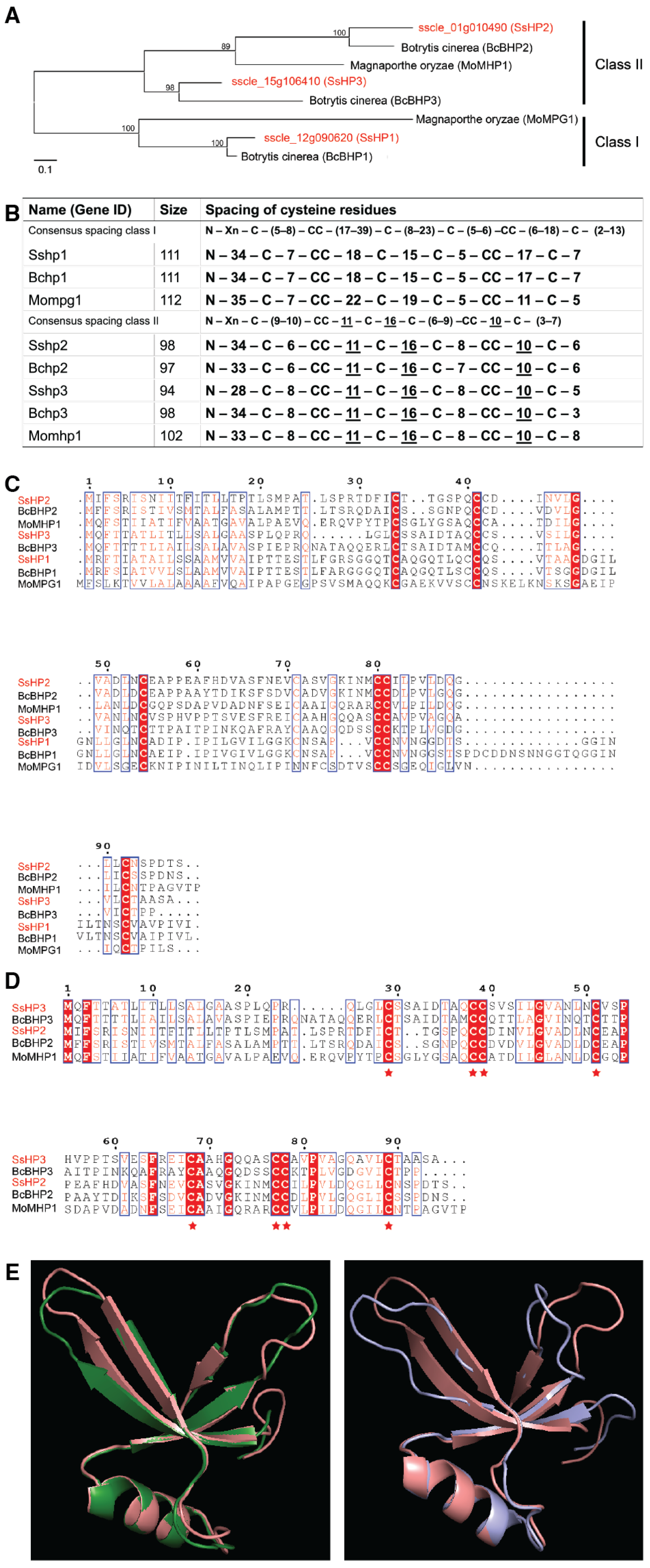 Pathogens 14 01131 g001