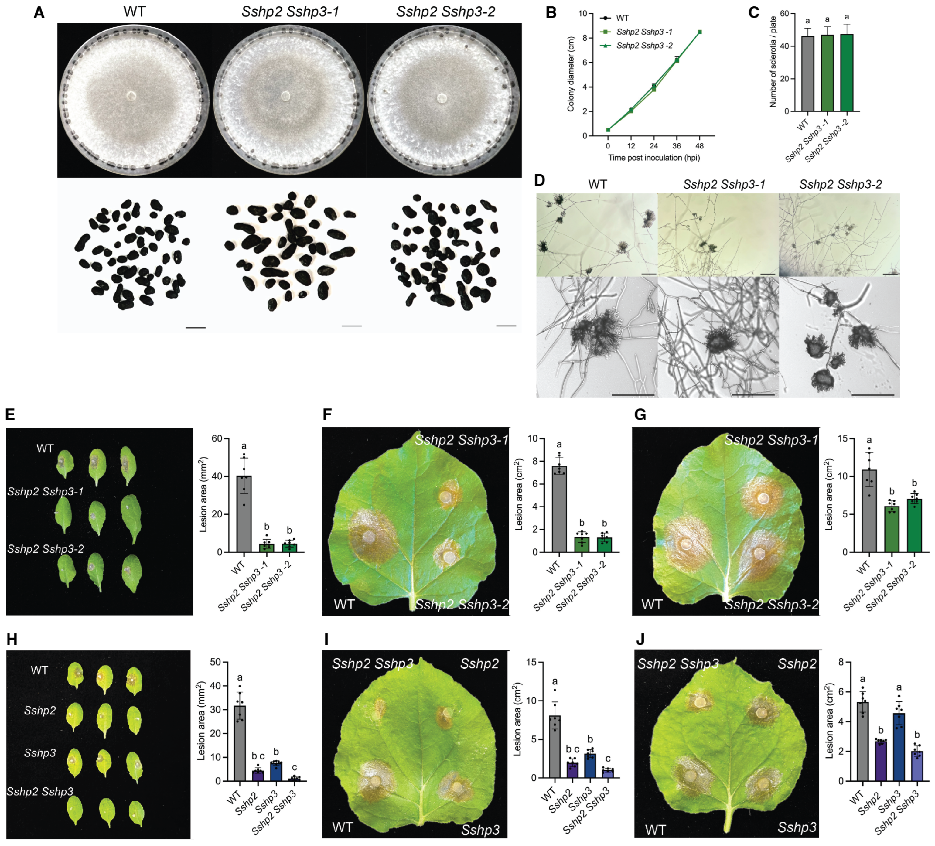 Pathogens 14 01131 g005