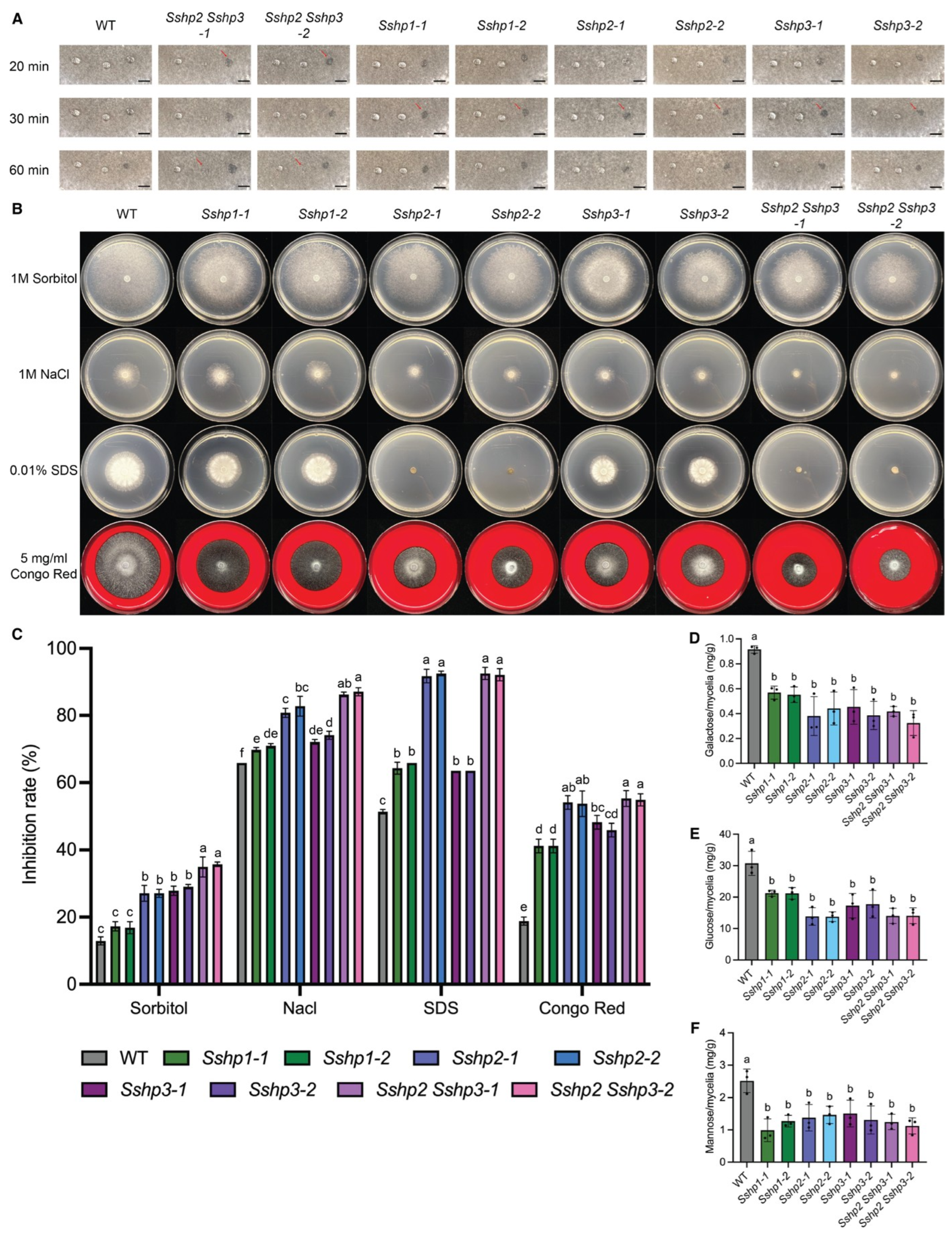 Pathogens 14 01131 g006