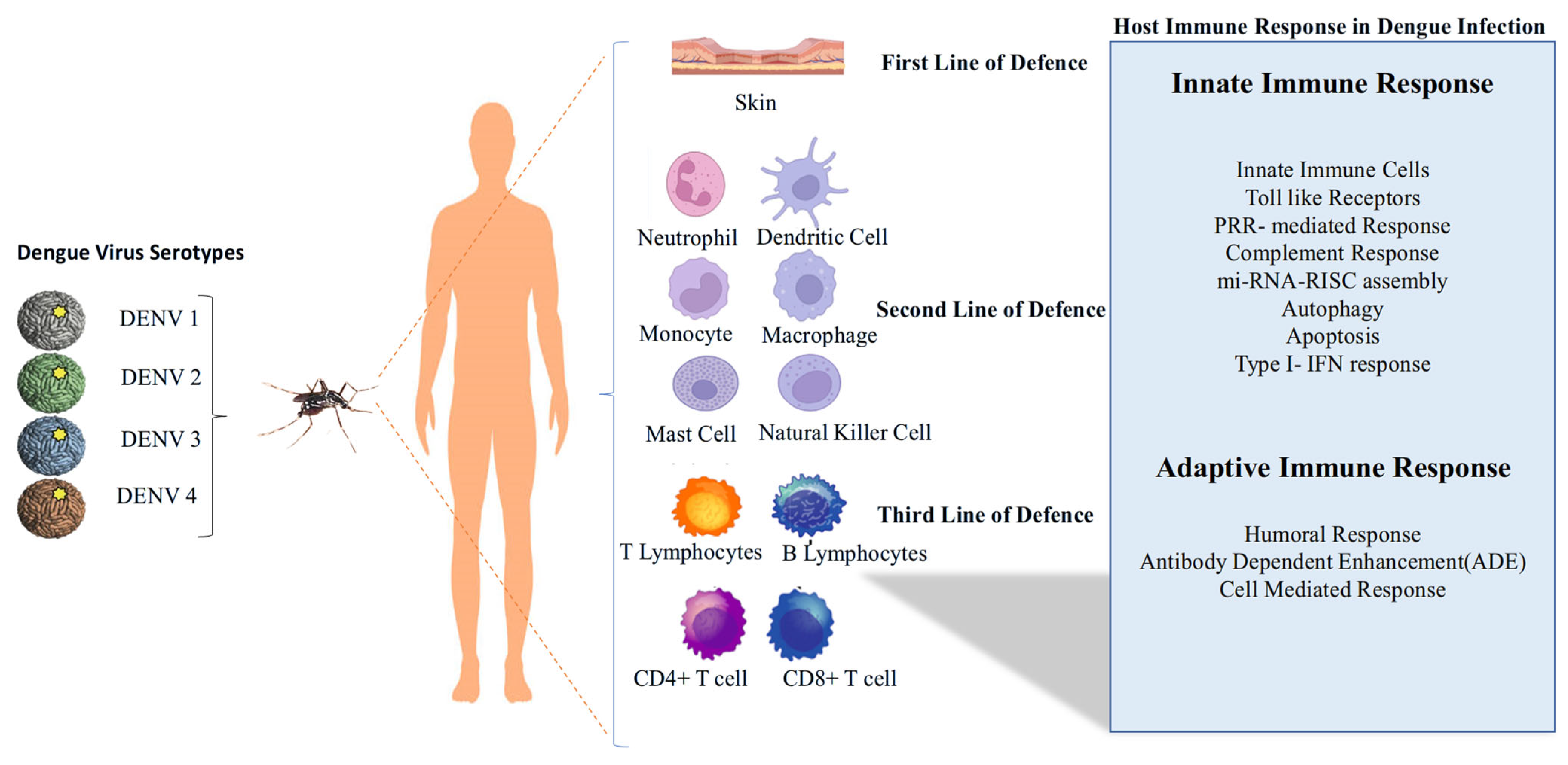 Pathogens 14 01132 g004