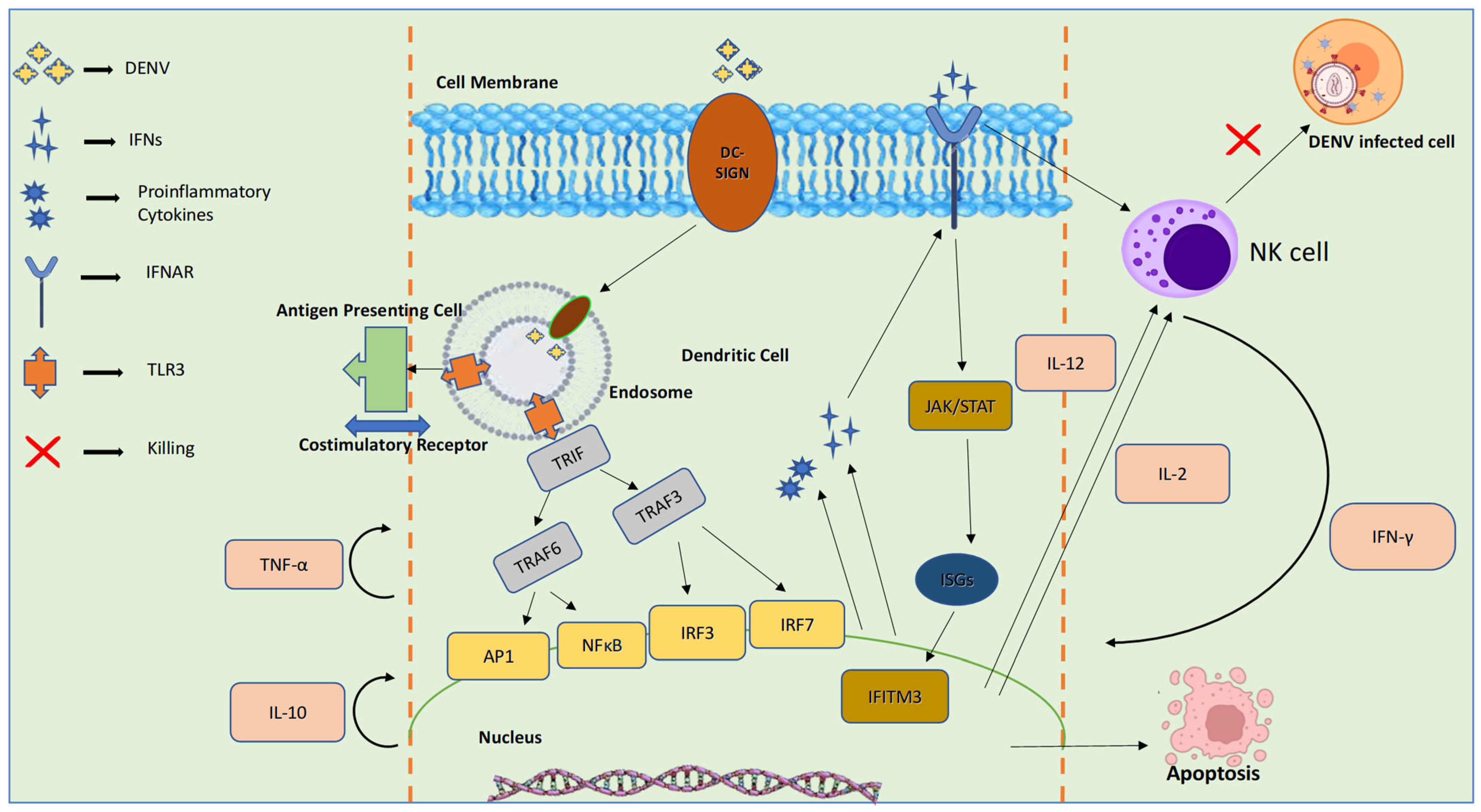 Pathogens 14 01132 g005