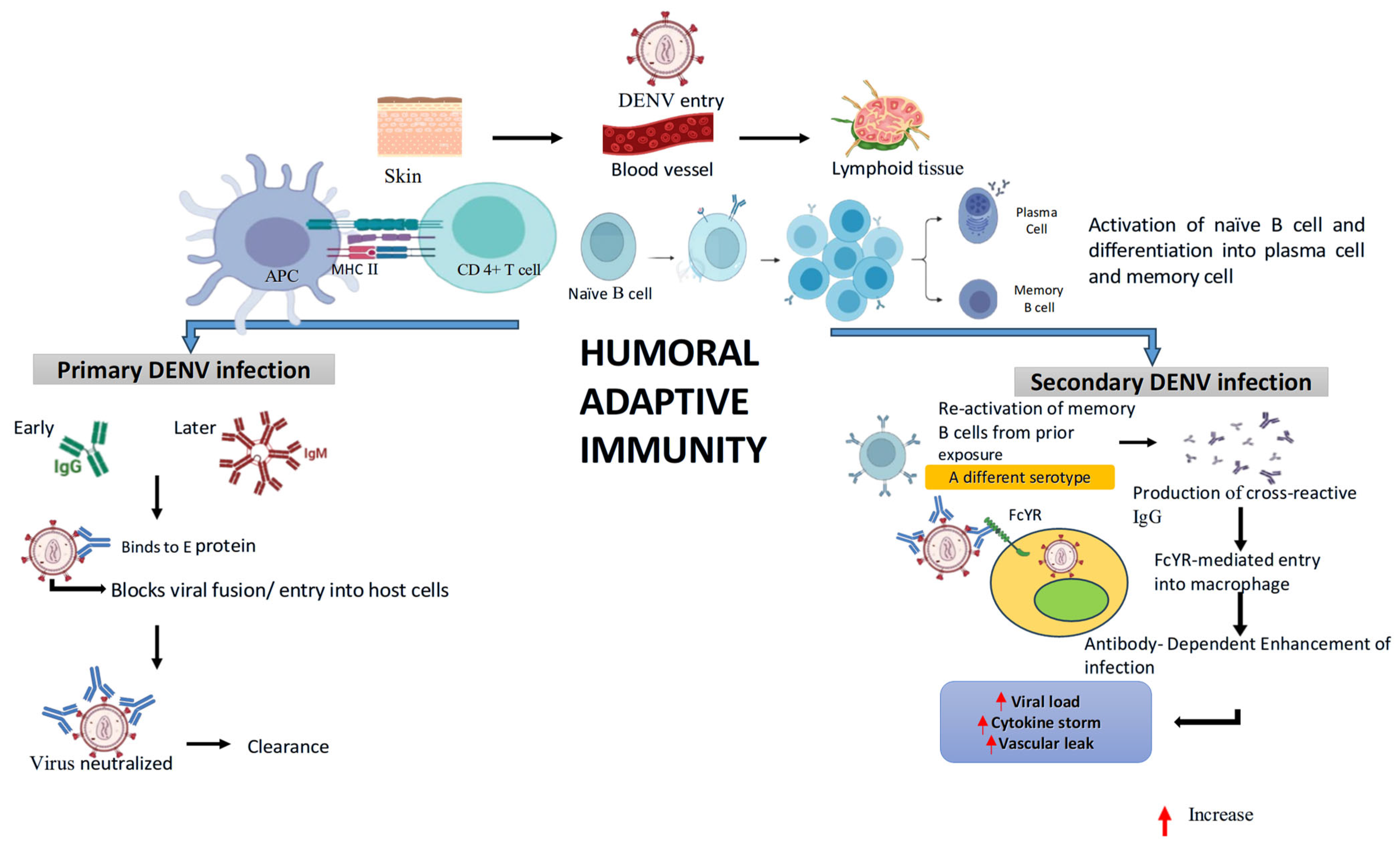 Pathogens 14 01132 g006