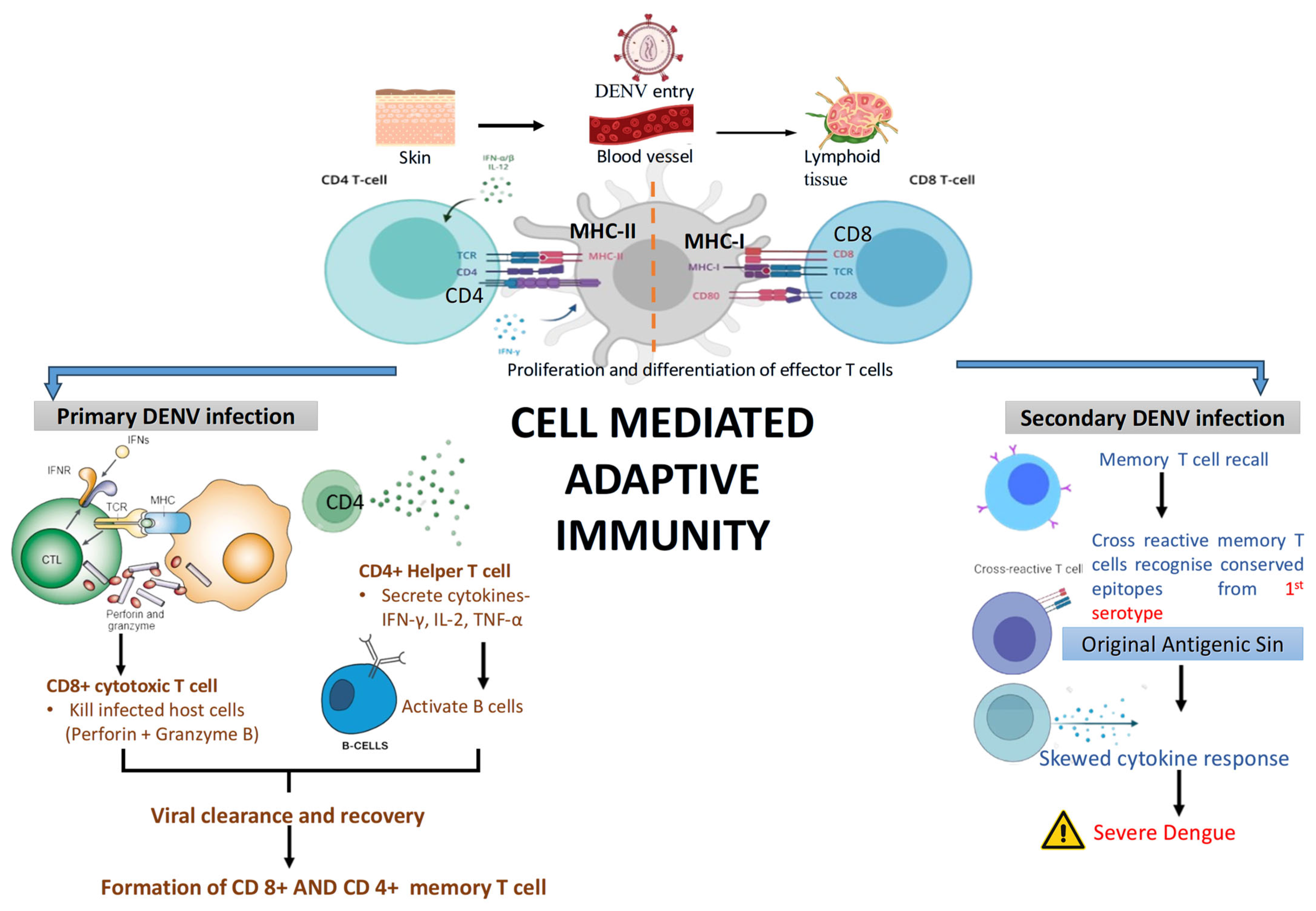 Pathogens 14 01132 g007