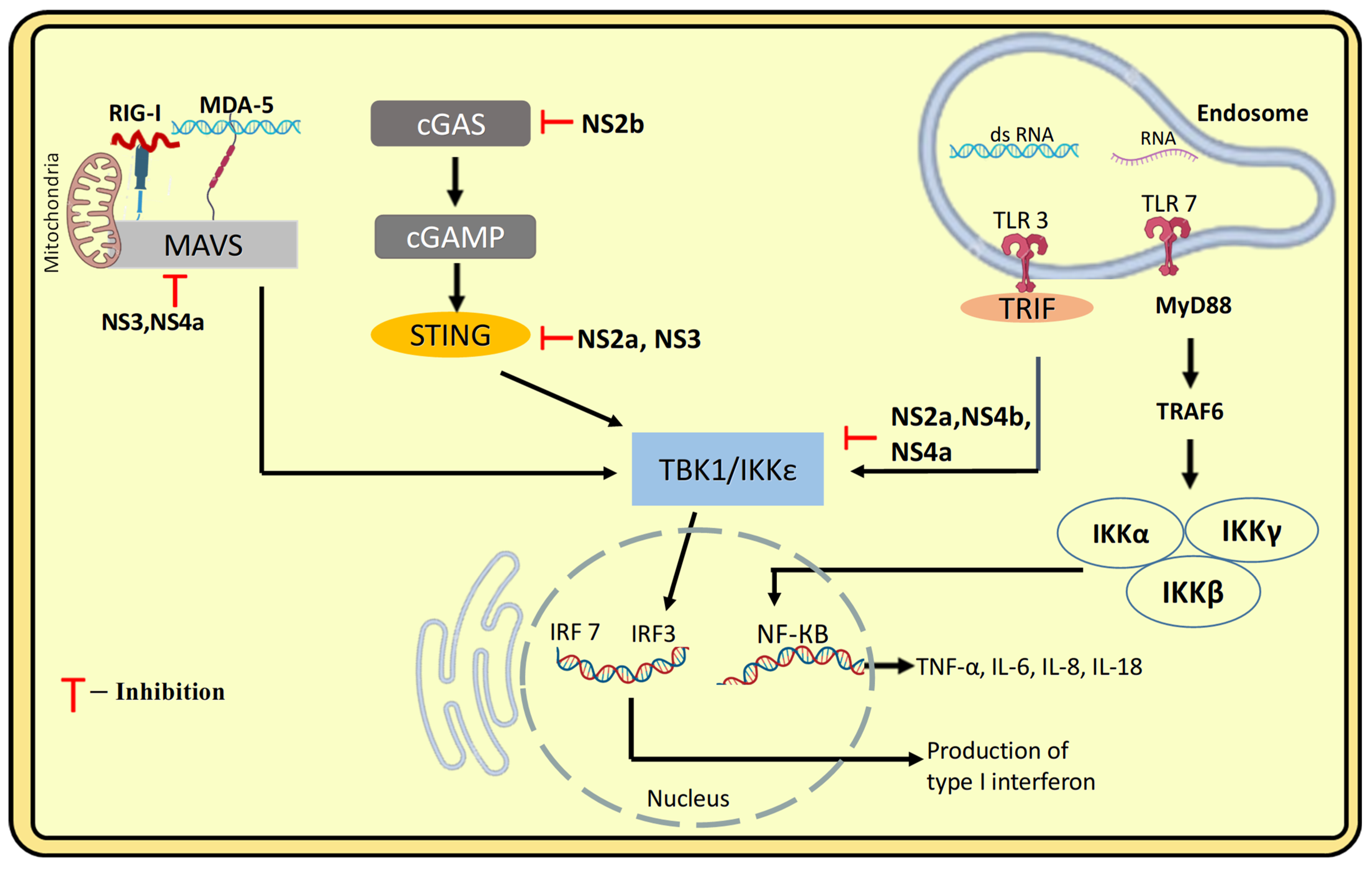 Pathogens 14 01132 g008