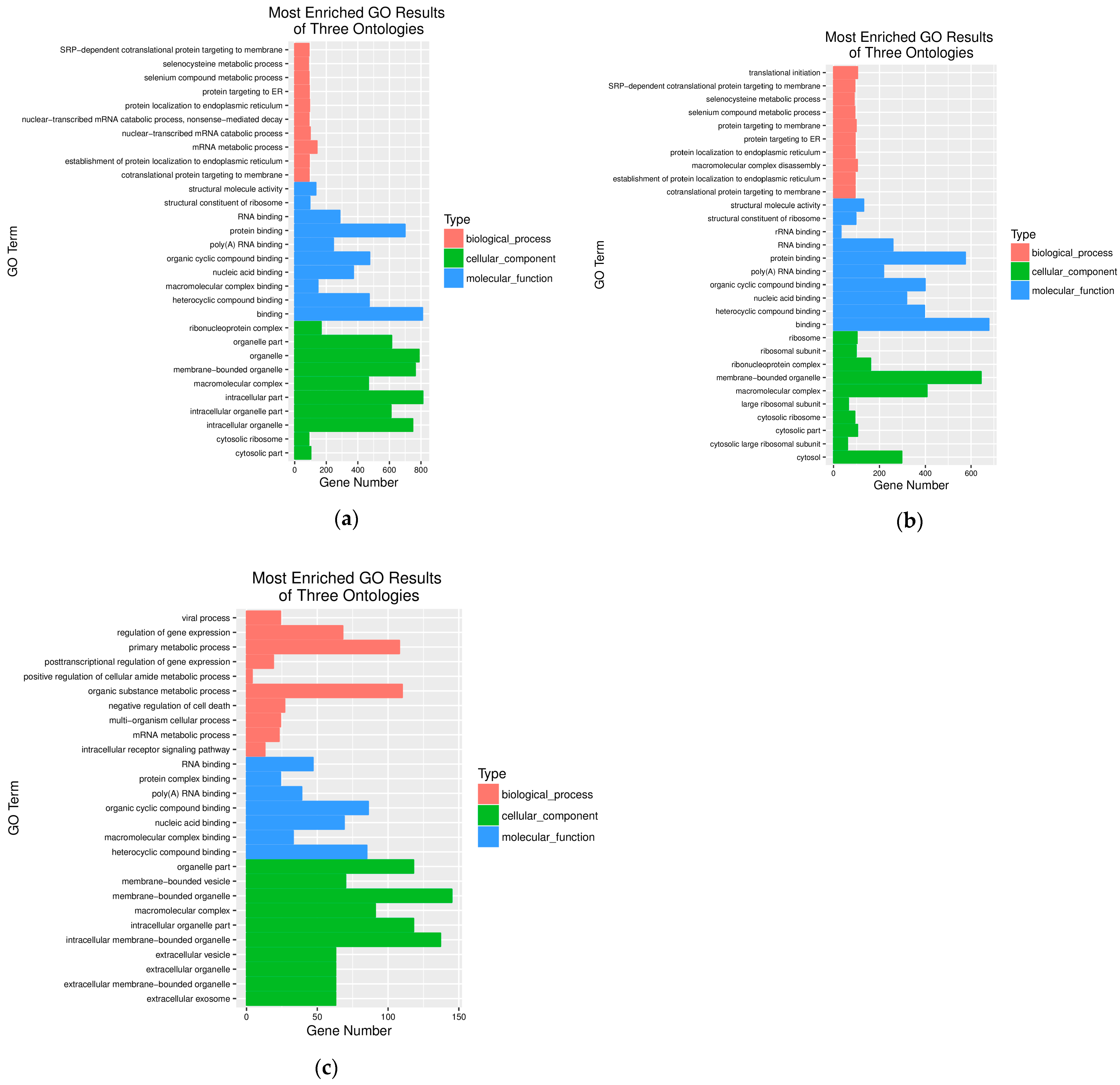 Pathogens 14 01133 g003 Pathogens 14 01133 g003
