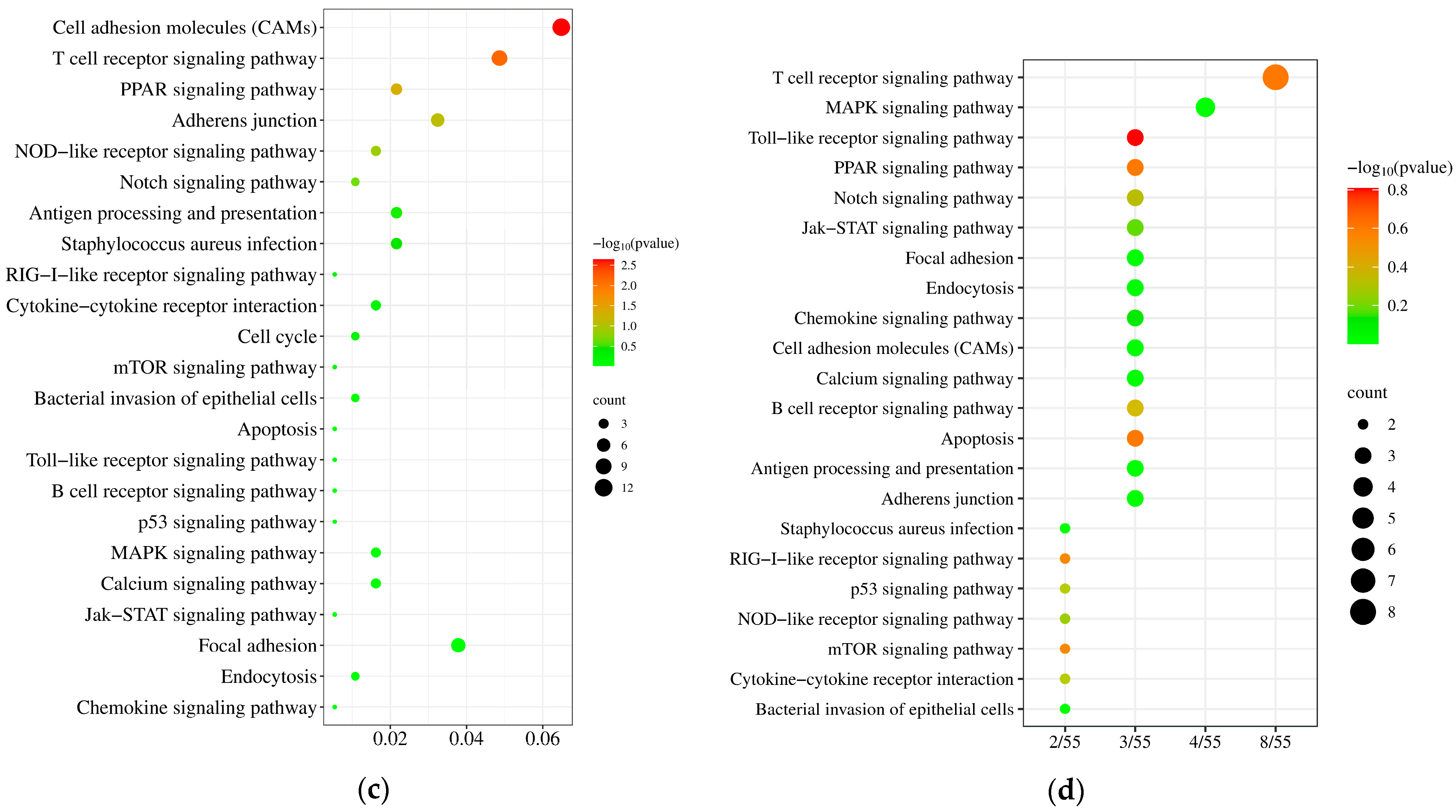 Pathogens 14 01133 g004b Pathogens 14 01133 g004b