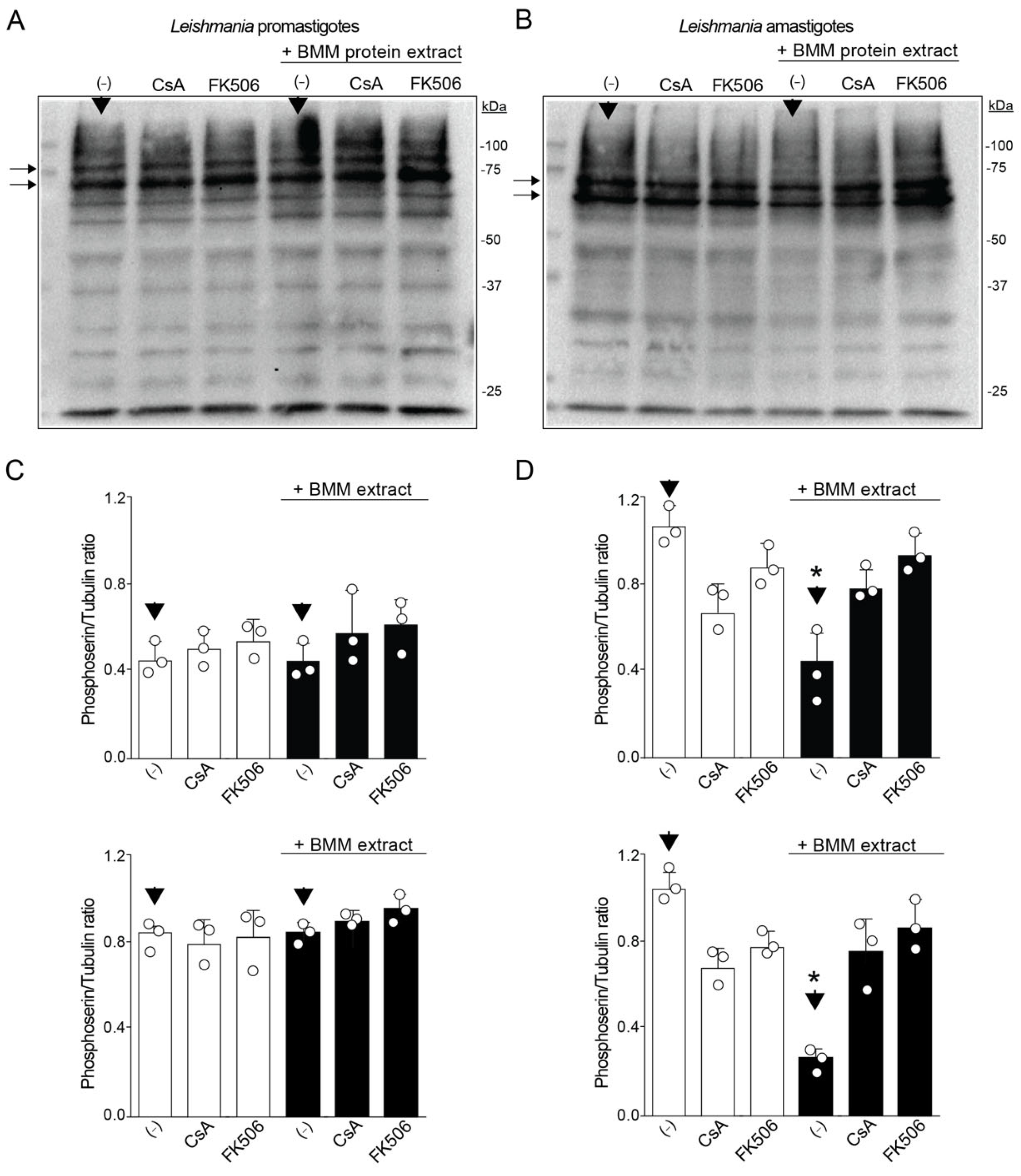 Pathogens 14 01139 g002