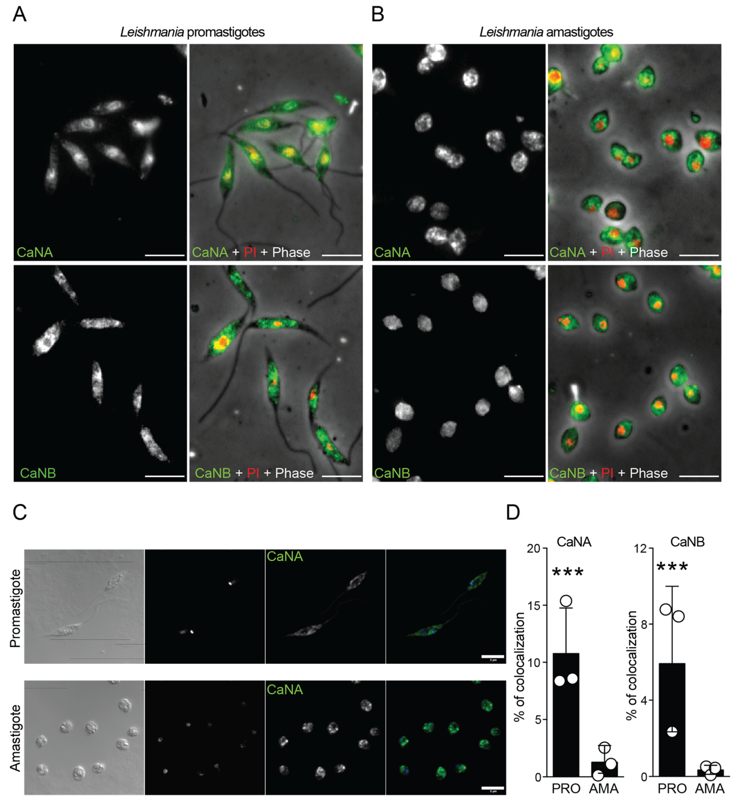 Pathogens 14 01139 g004