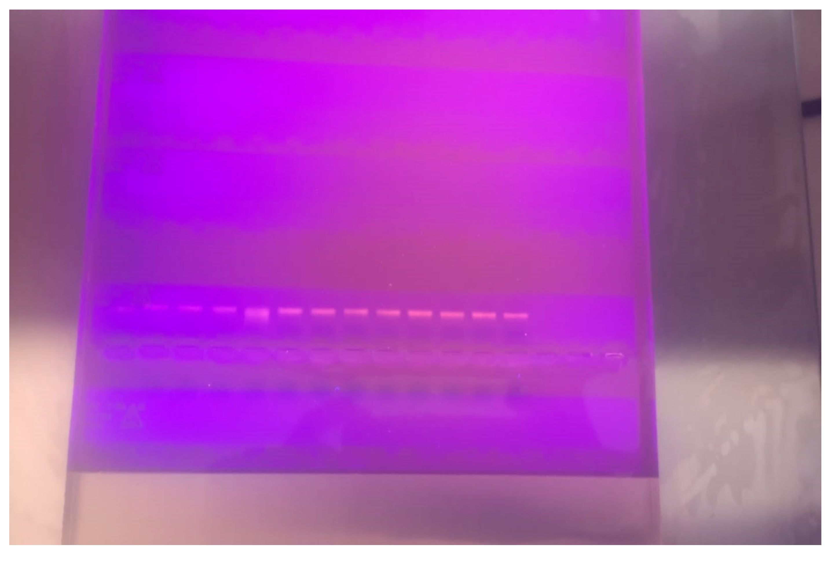 Pathogens 14 01140 g001