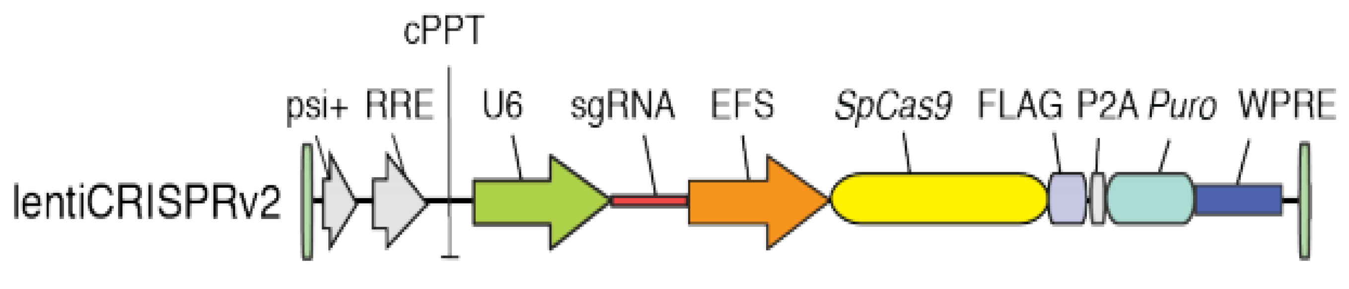 Pathogens 14 01146 g001