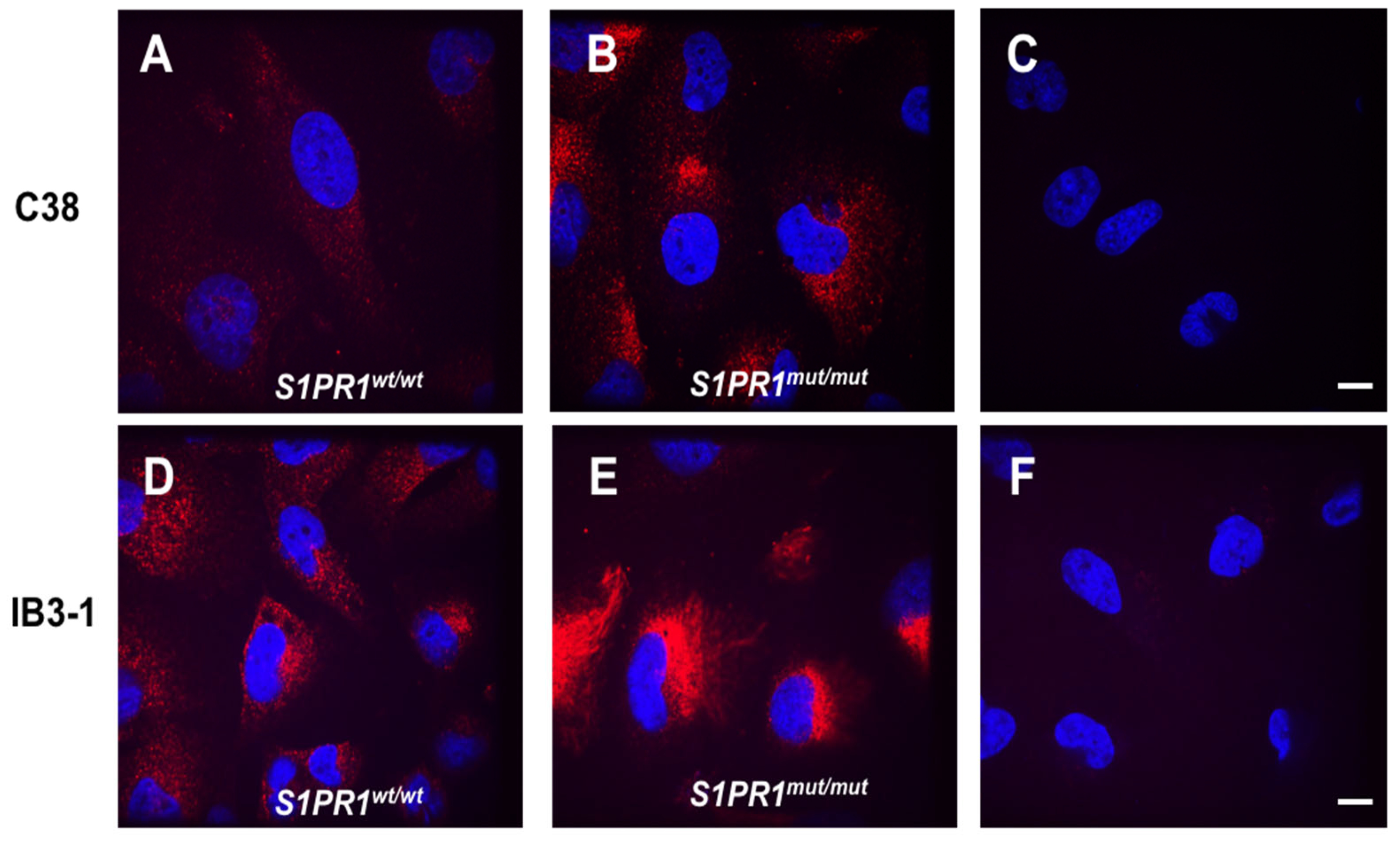 Pathogens 14 01146 g002