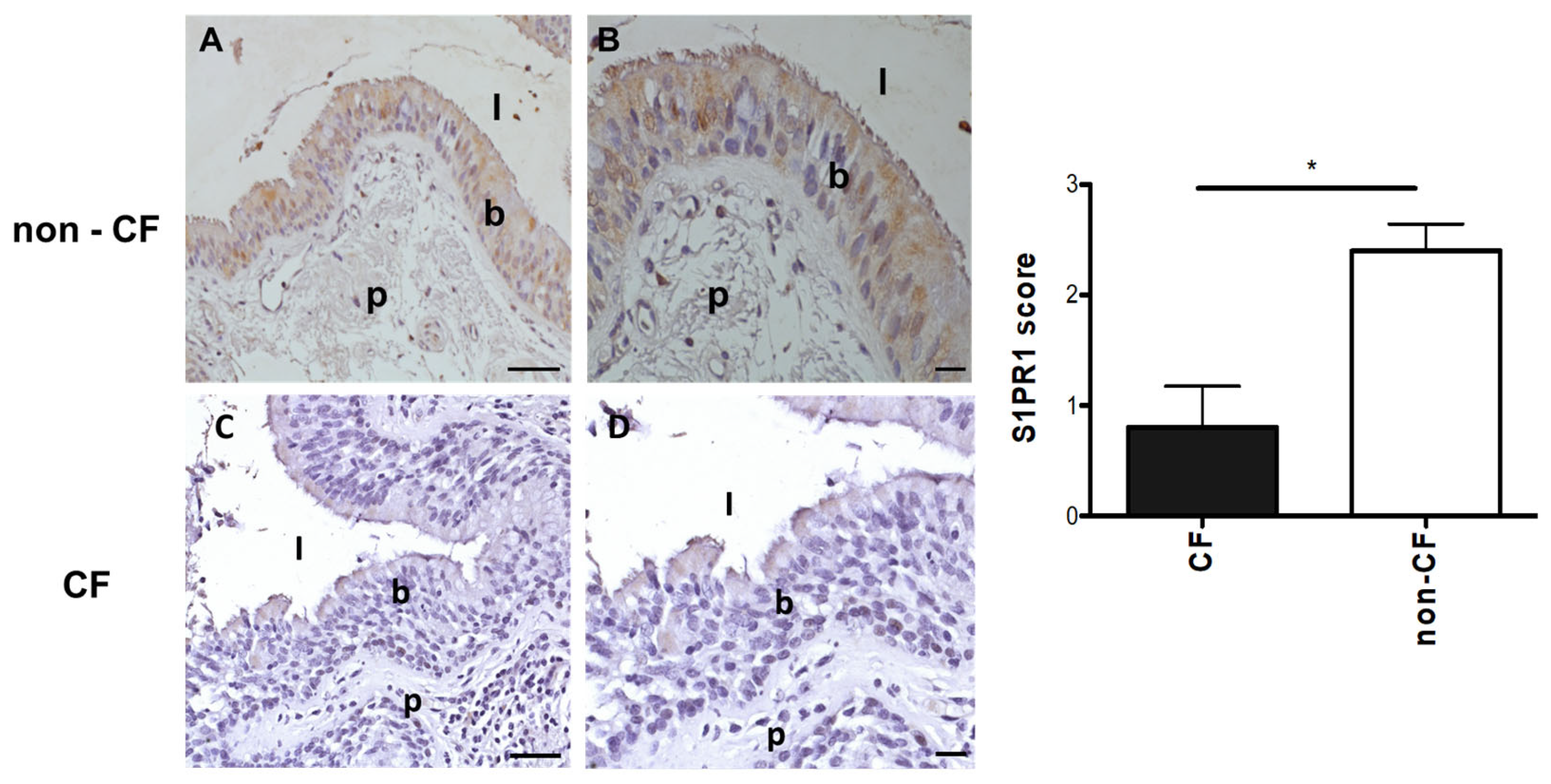 Pathogens 14 01146 g005
