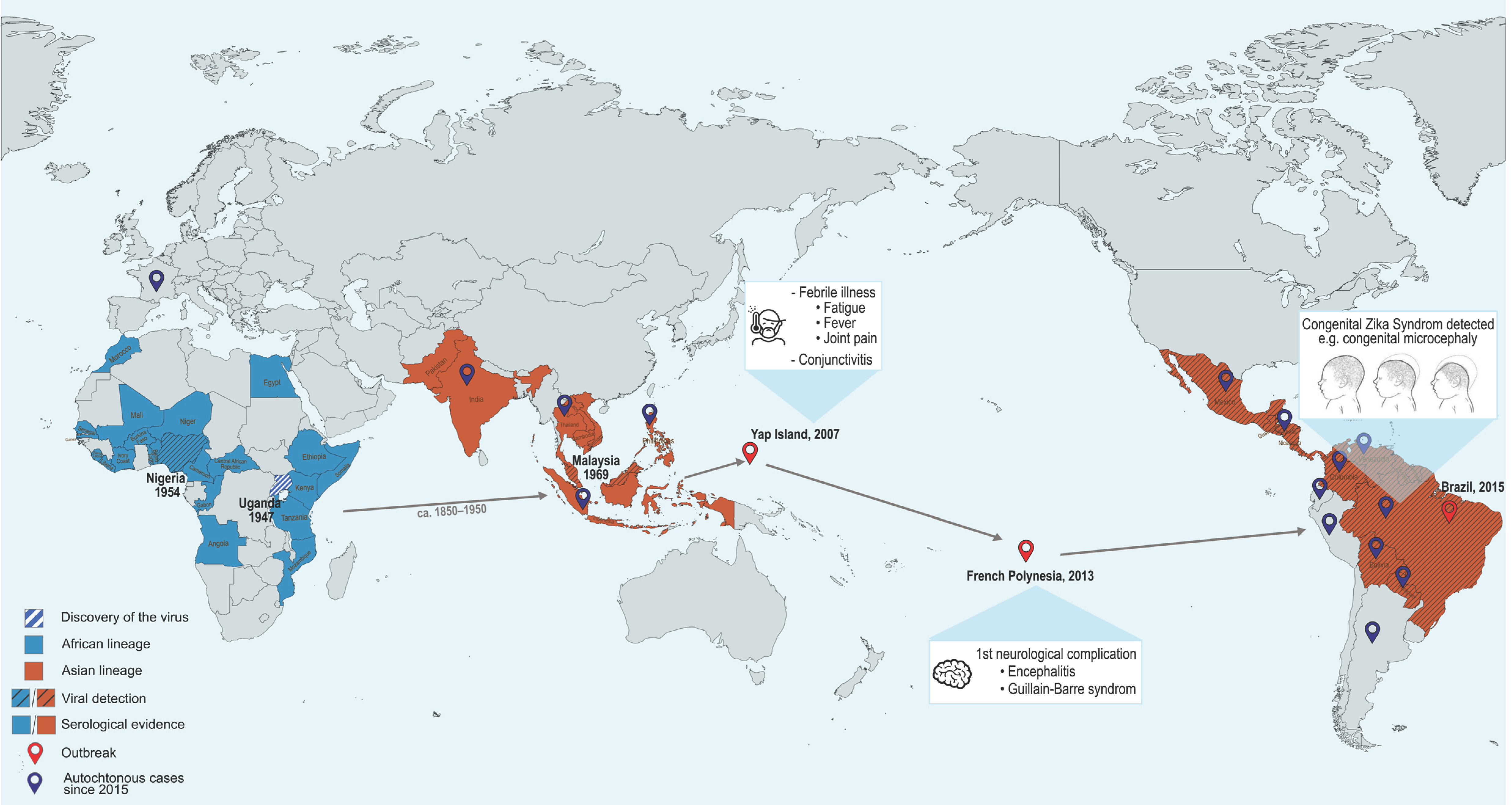 Pathogens 14 01151 g001