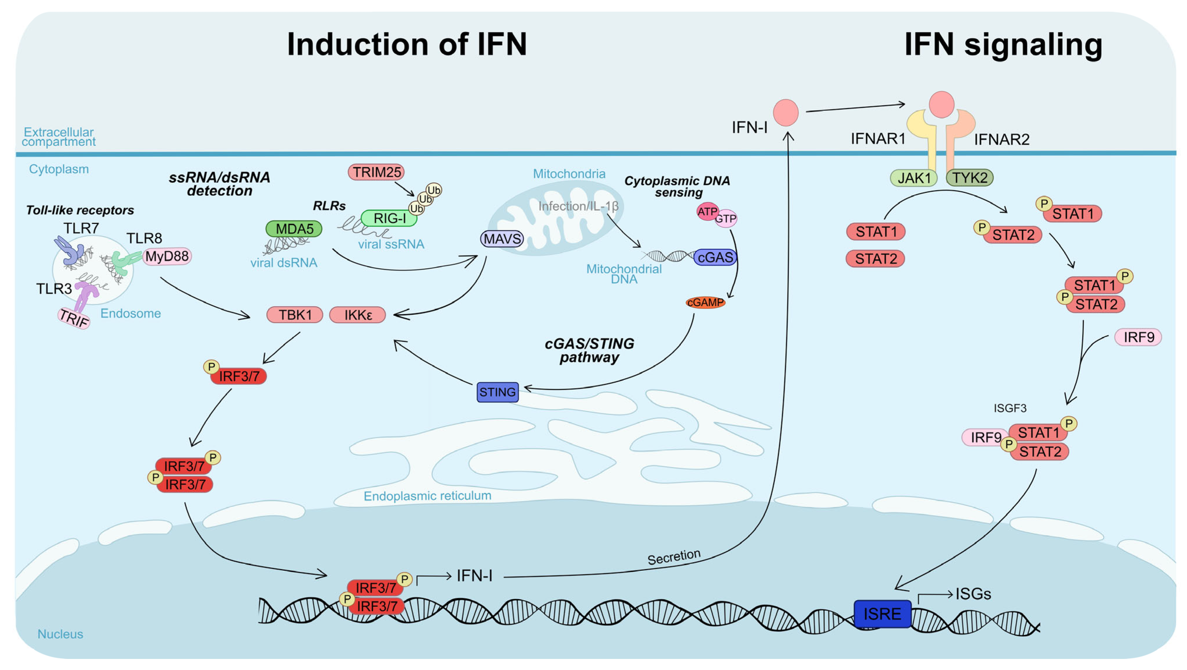 Pathogens 14 01151 g003