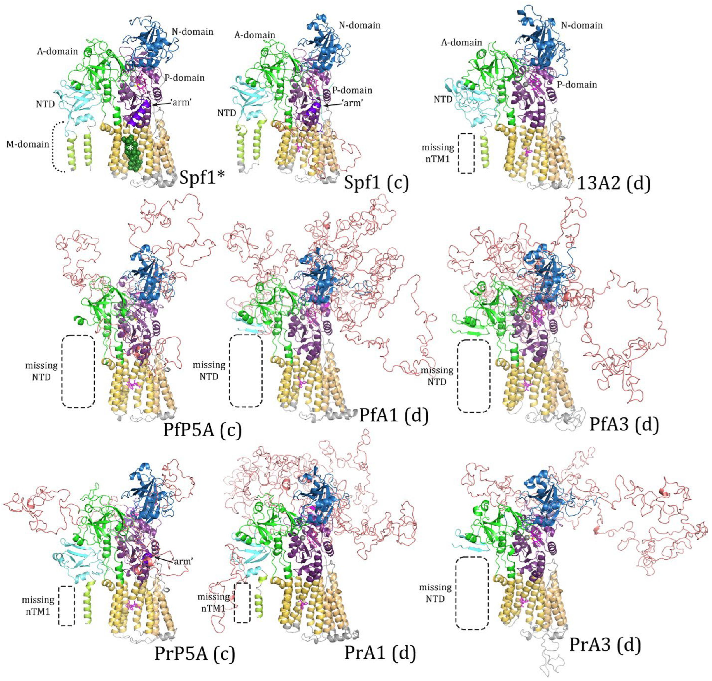 Pathogens 14 01164 g002 Pathogens 14 01164 g002
