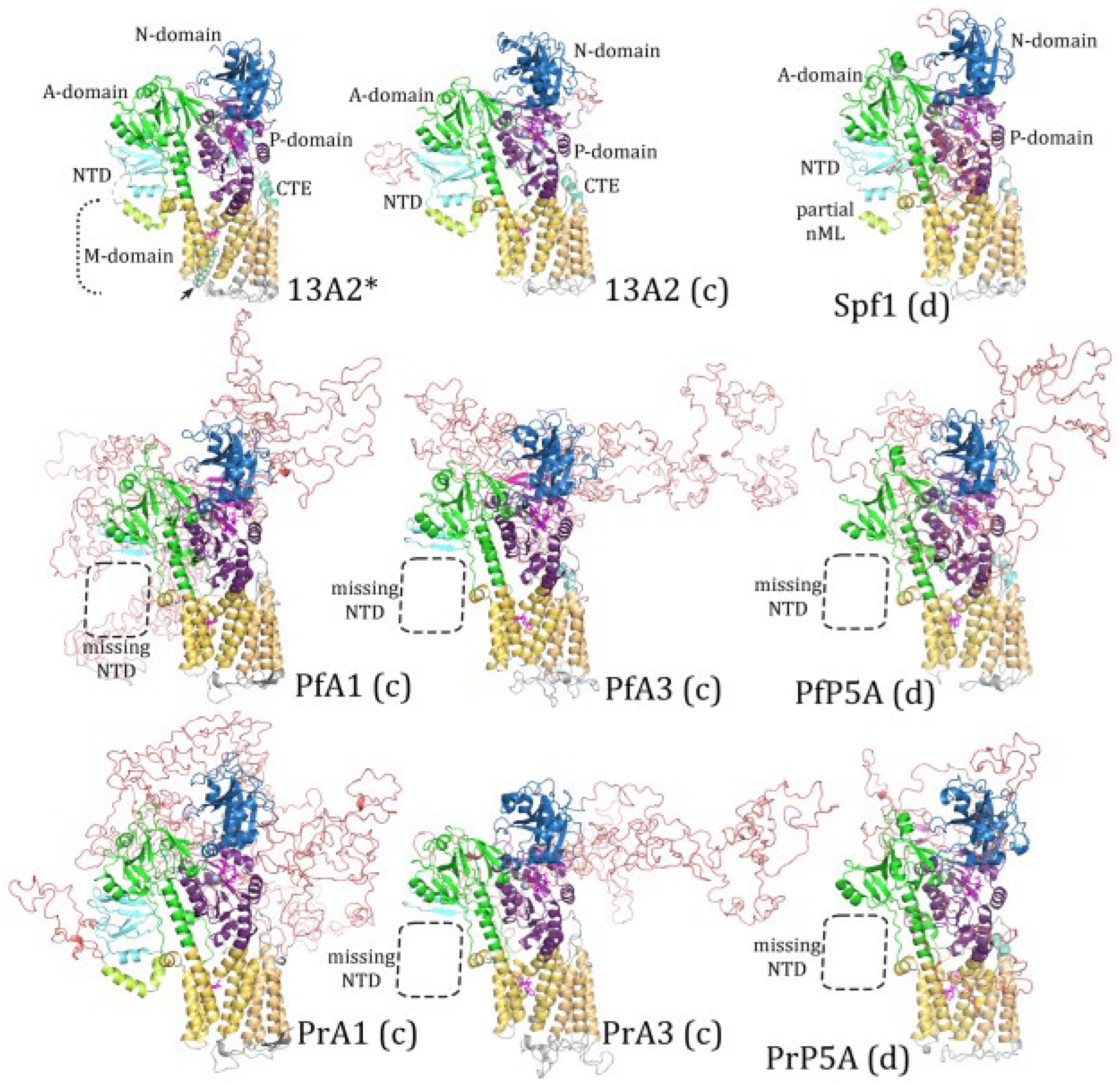 Pathogens 14 01164 g003 Pathogens 14 01164 g003