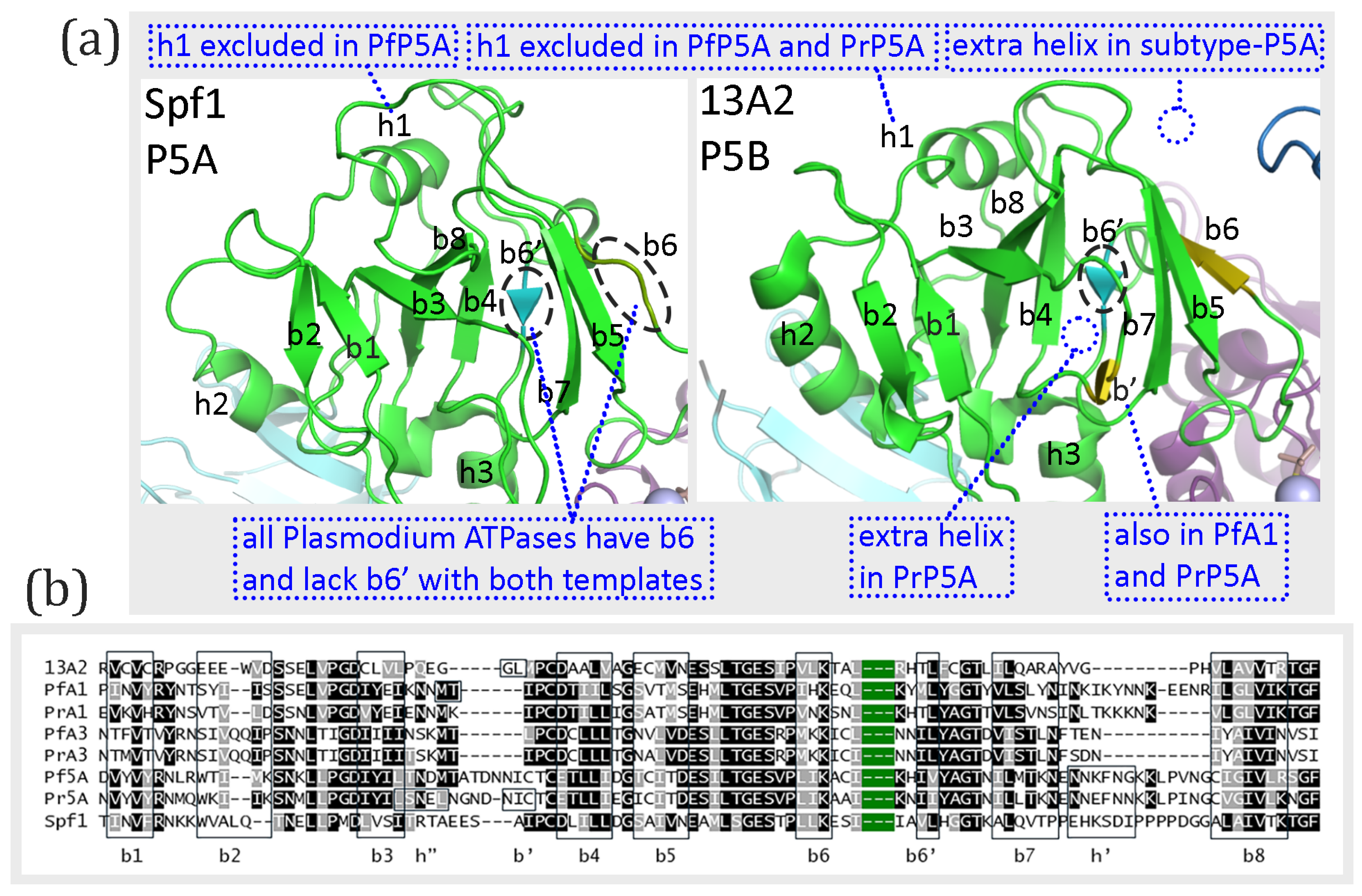 Pathogens 14 01164 g004 Pathogens 14 01164 g004
