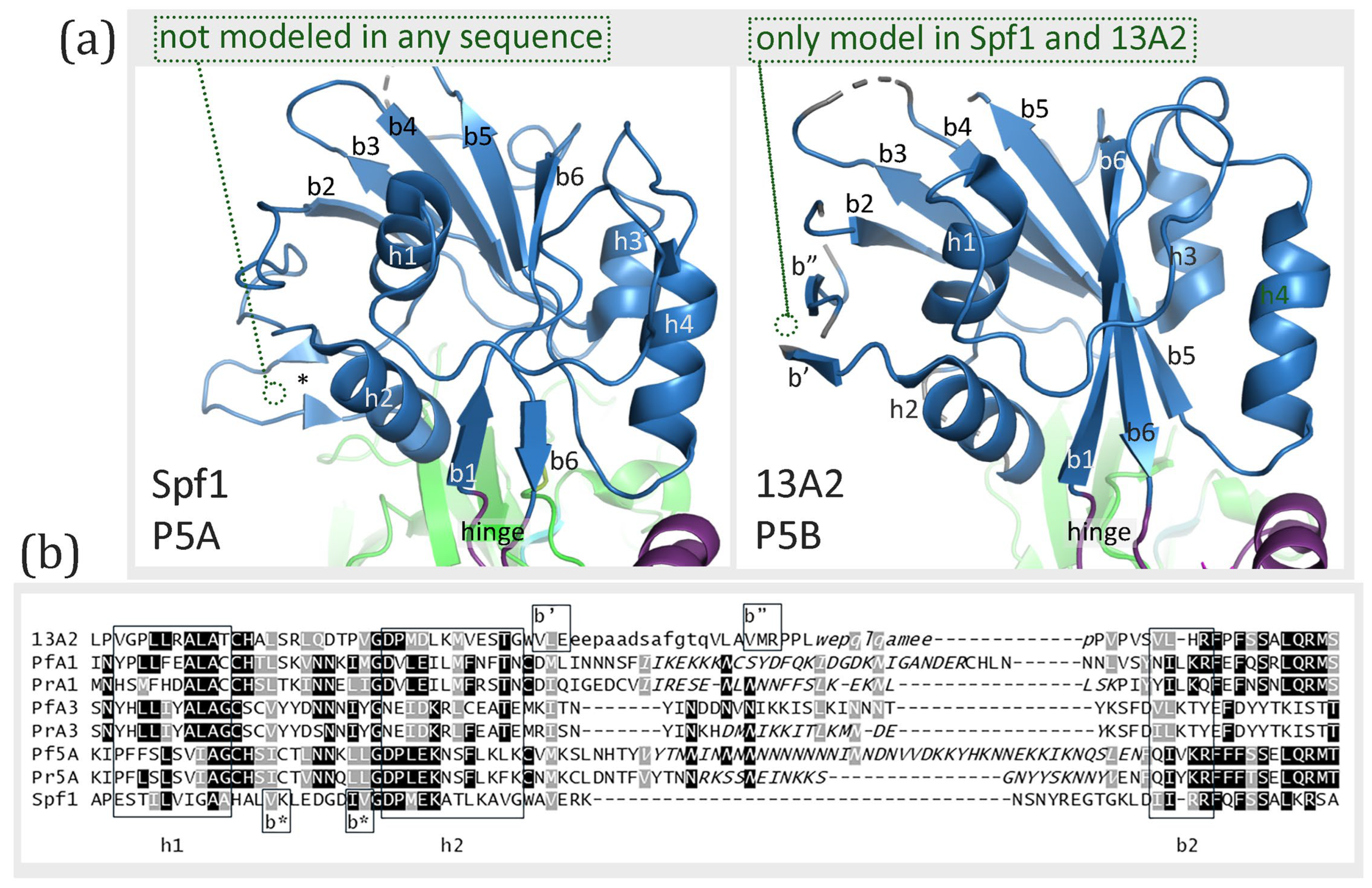 Pathogens 14 01164 g005 Pathogens 14 01164 g005