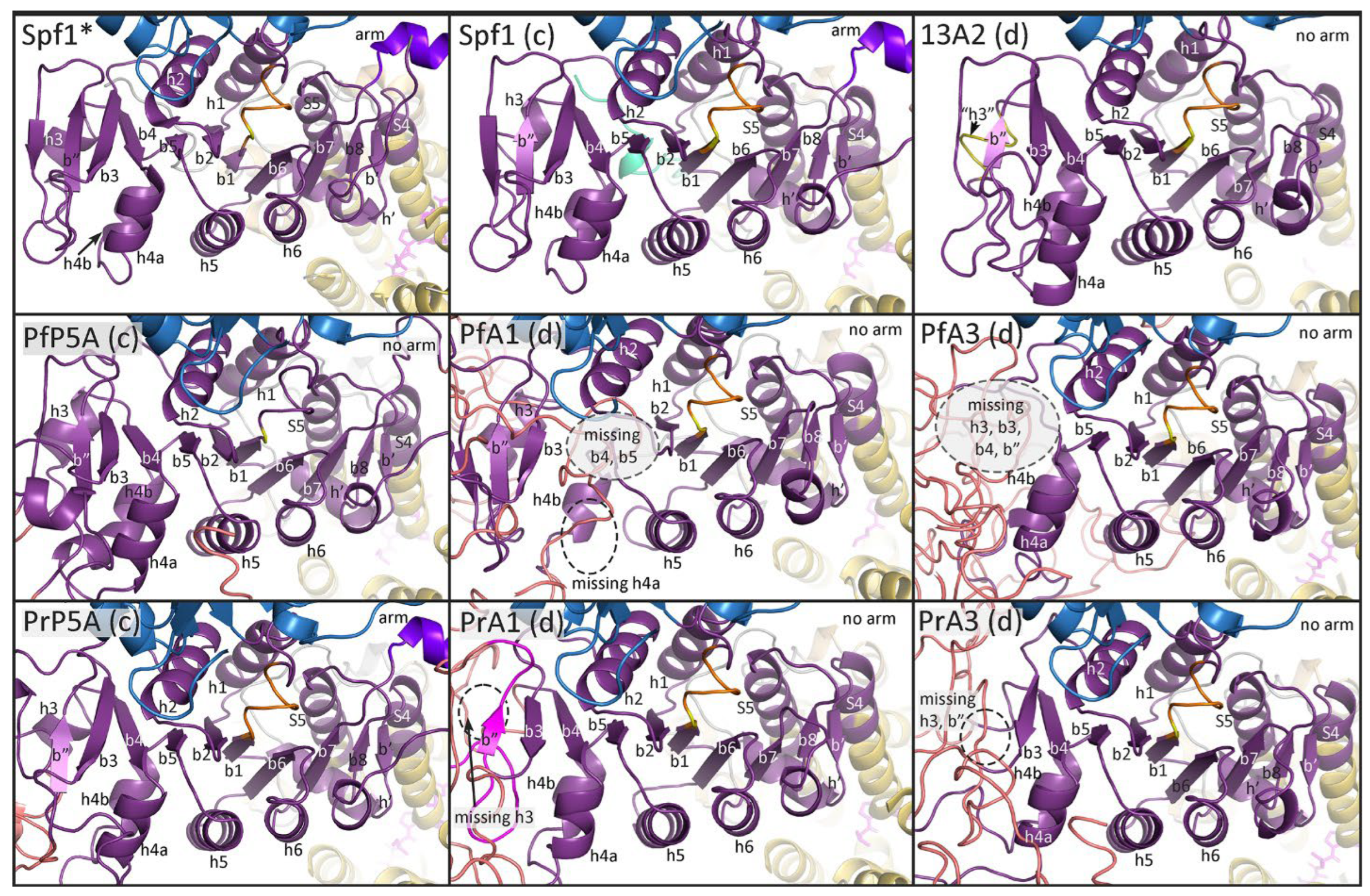Pathogens 14 01164 g006 Pathogens 14 01164 g006