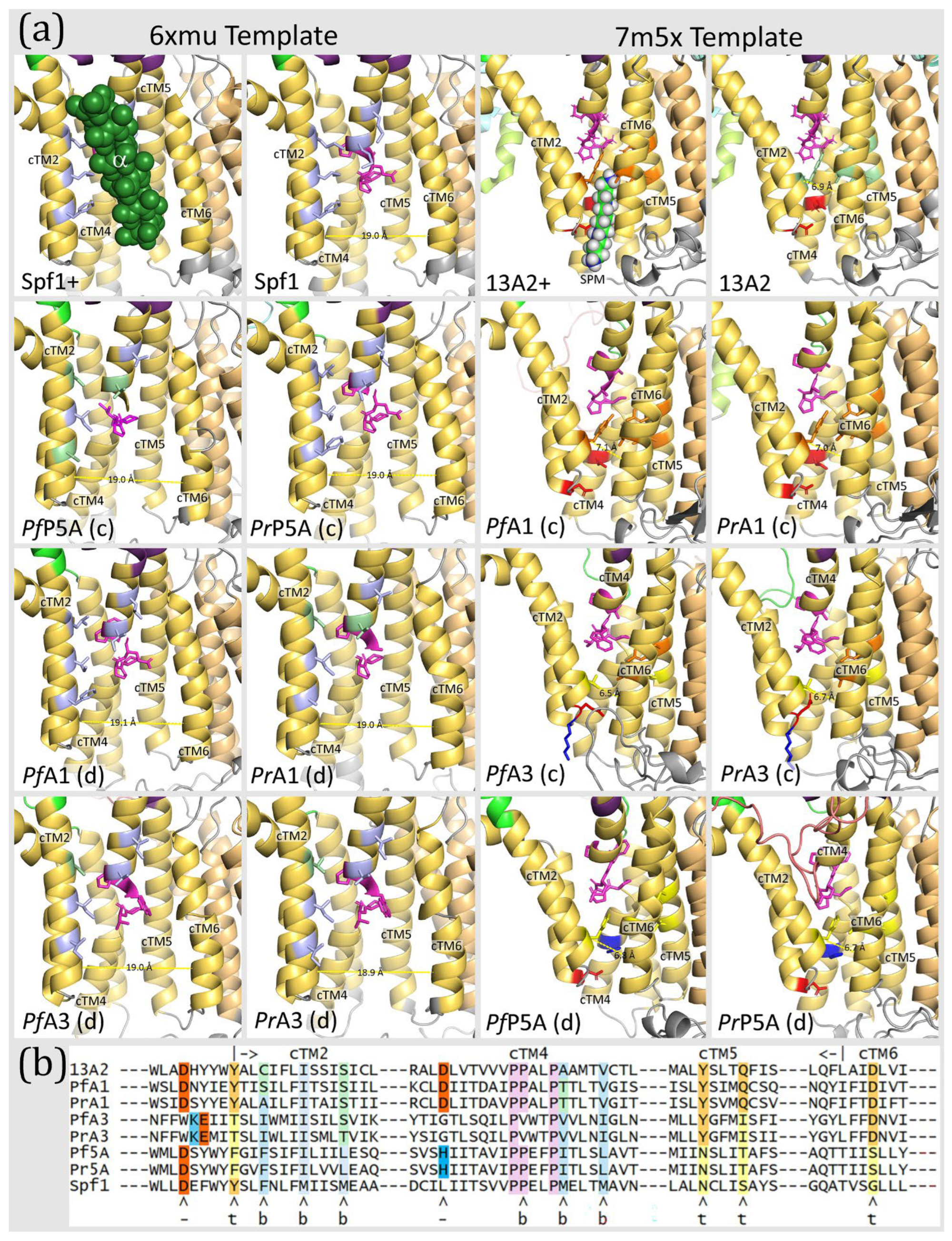 Pathogens 14 01164 g009 Pathogens 14 01164 g009