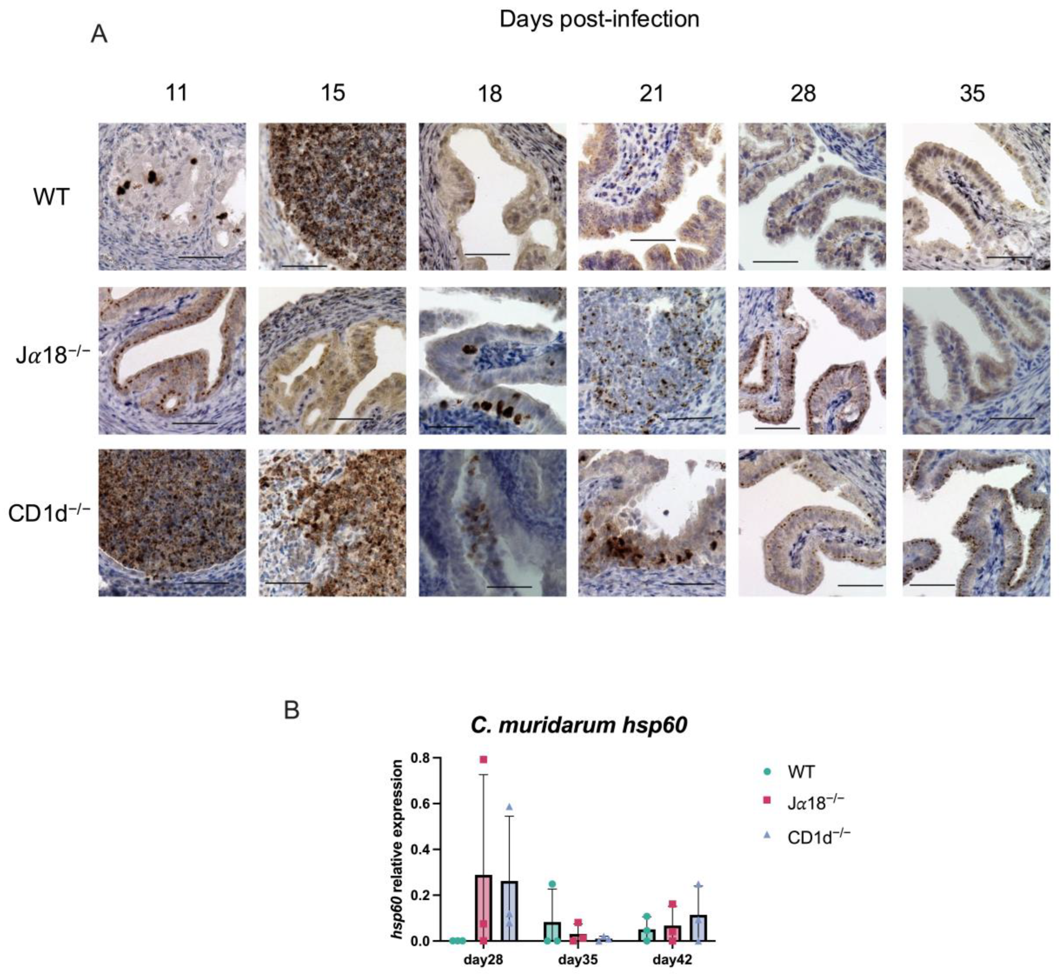 Pathogens 14 01166 g006
