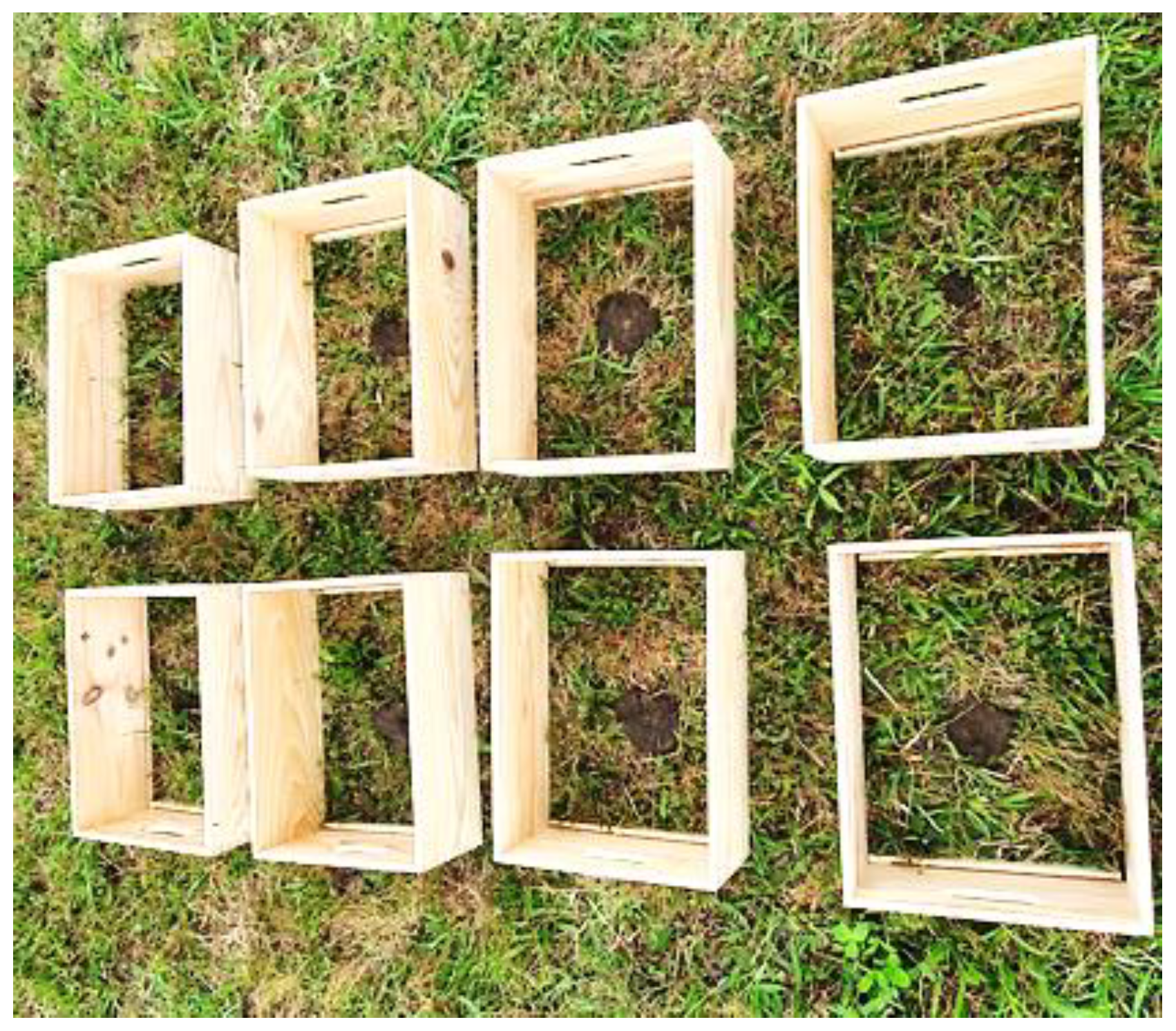 Pathogens 14 01168 g001 Pathogens 14 01168 g001