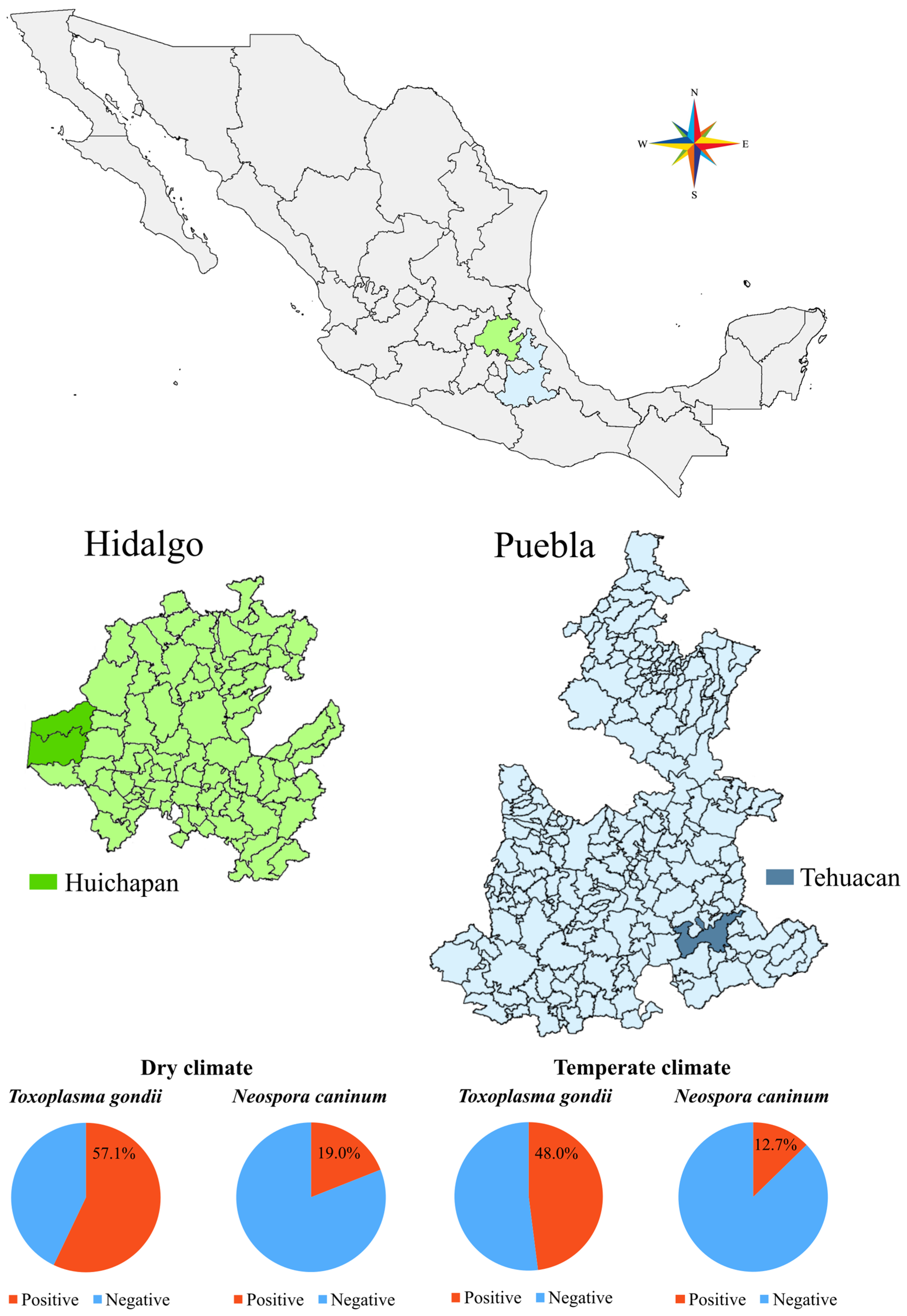 Pathogens 14 01170 g001 Pathogens 14 01170 g001