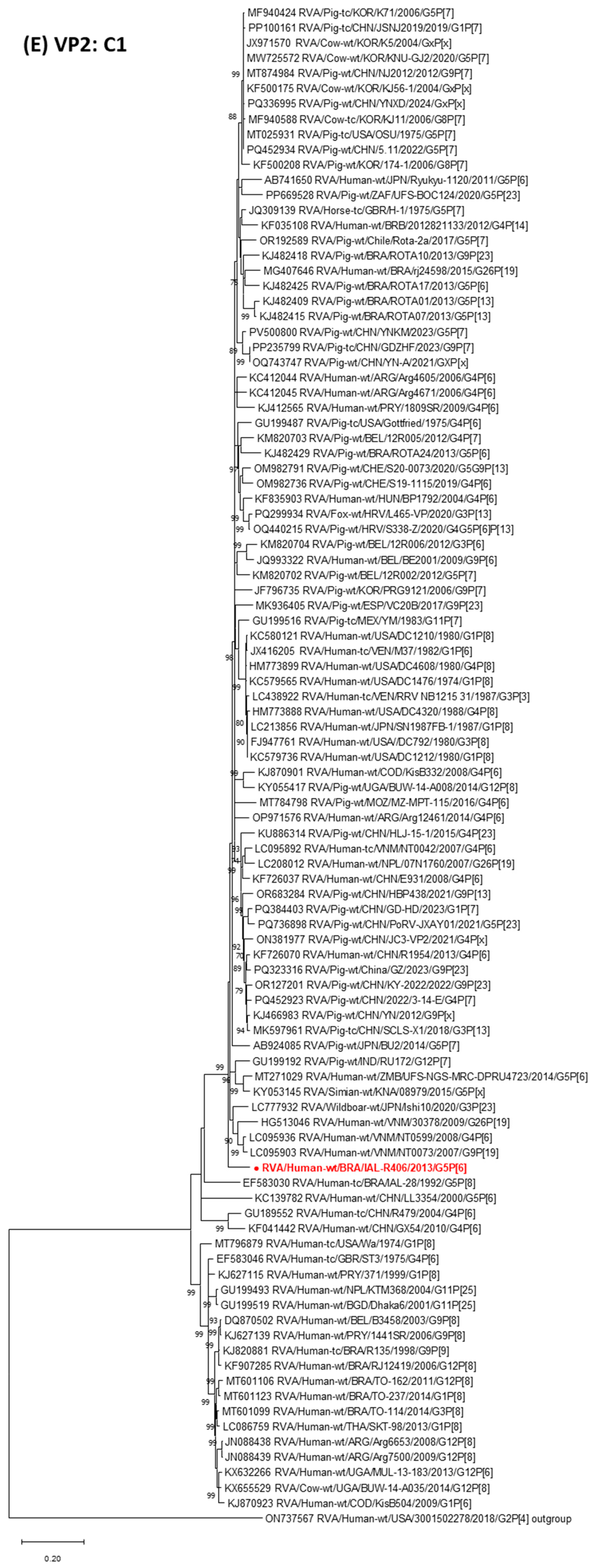 Pathogens 14 01172 g001e Pathogens 14 01172 g001e