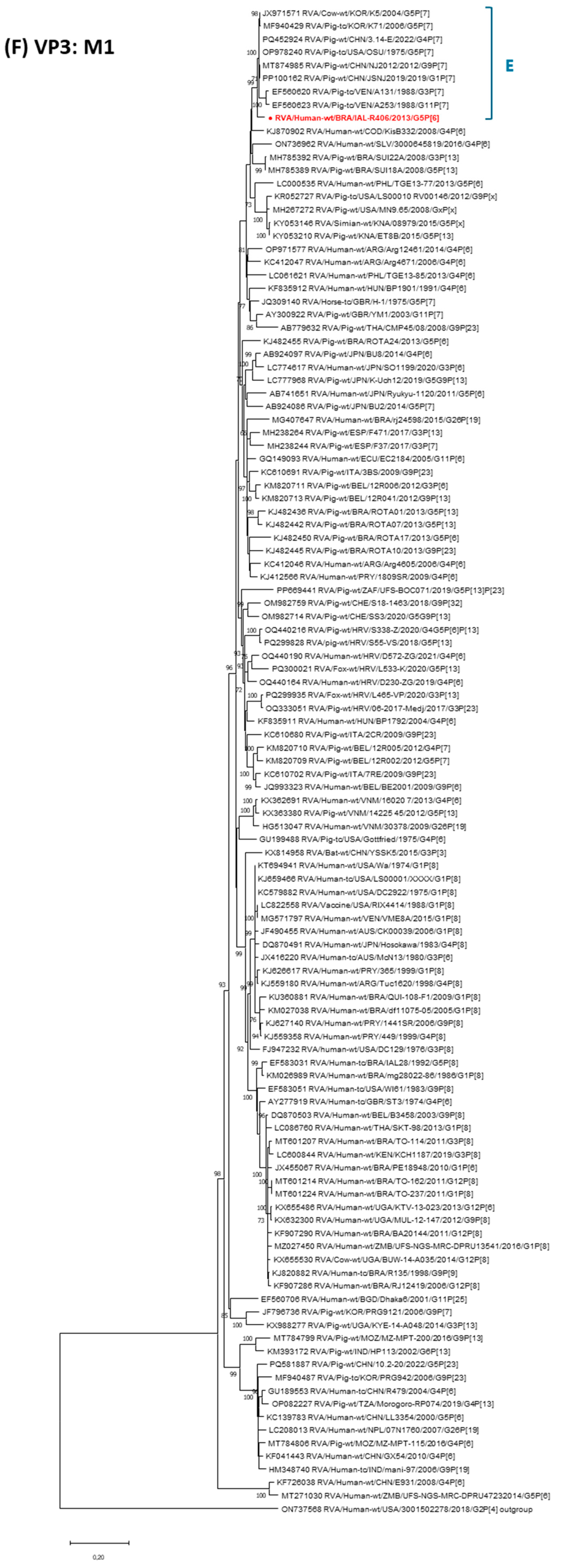 Pathogens 14 01172 g001f Pathogens 14 01172 g001f