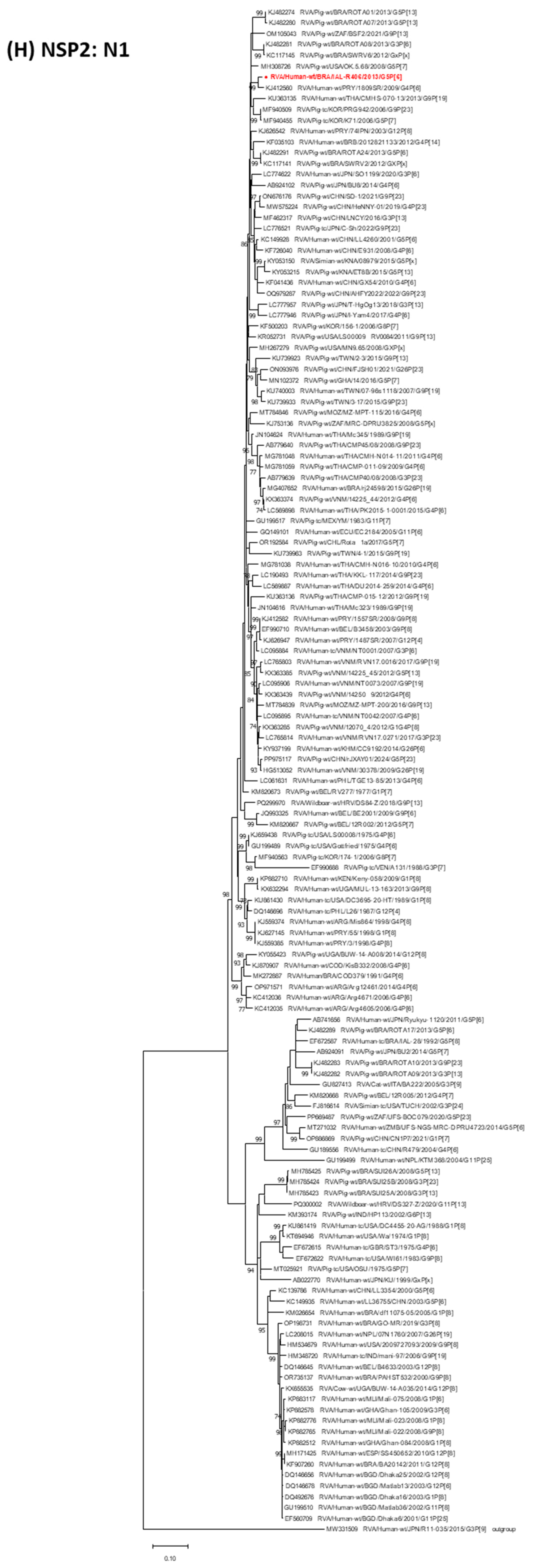 Pathogens 14 01172 g001h Pathogens 14 01172 g001h