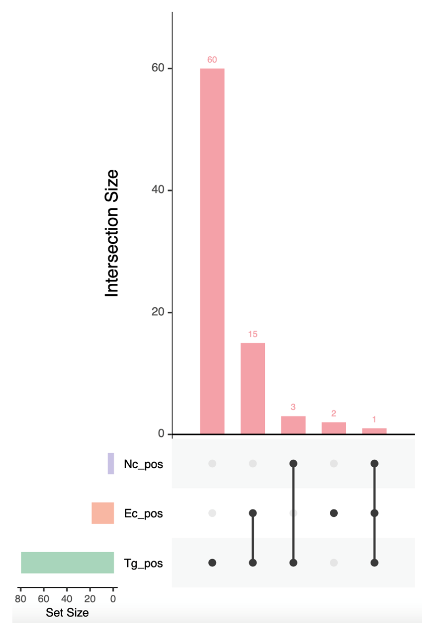 Pathogens 14 01175 g001