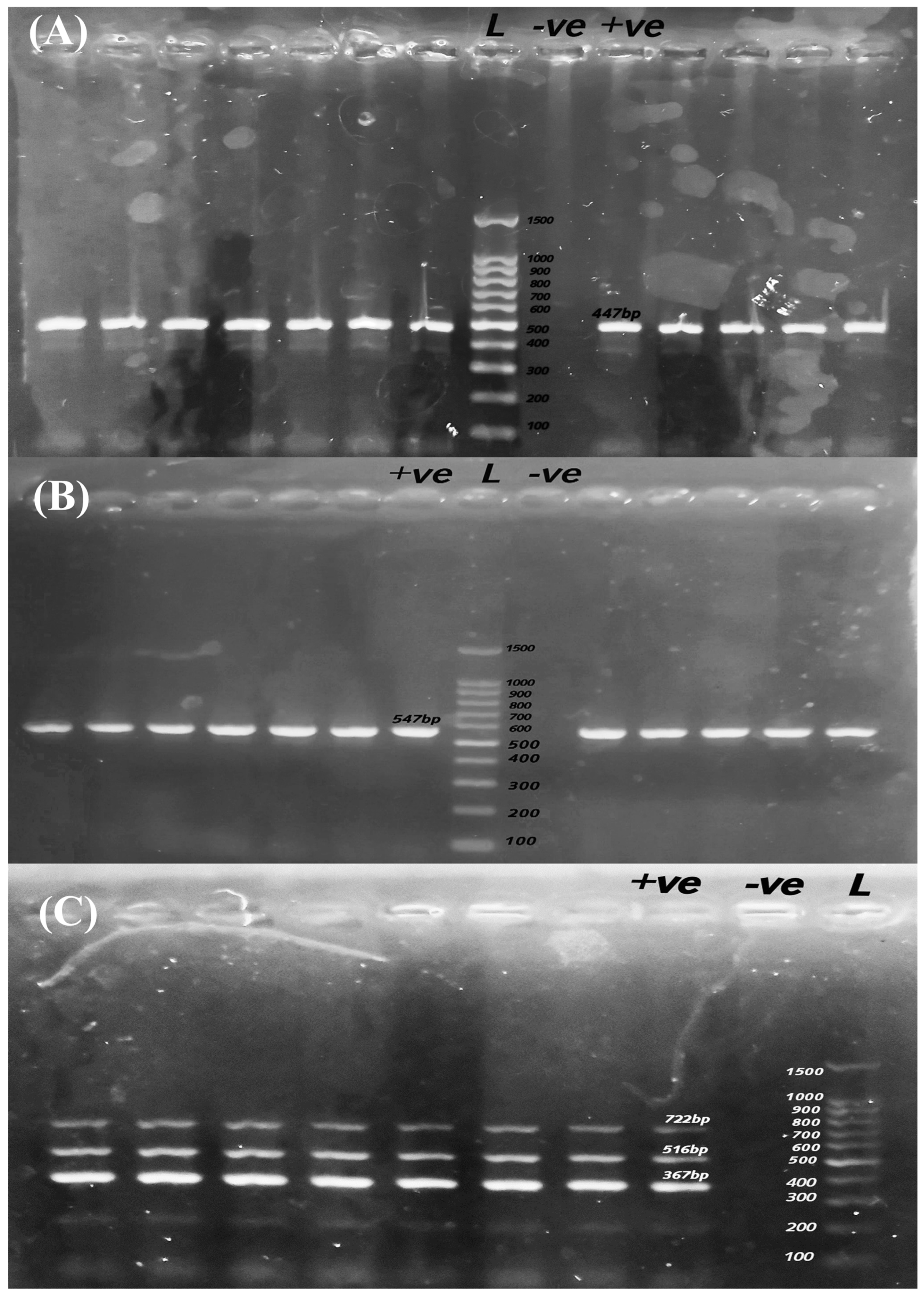 Pathogens 14 01176 g003