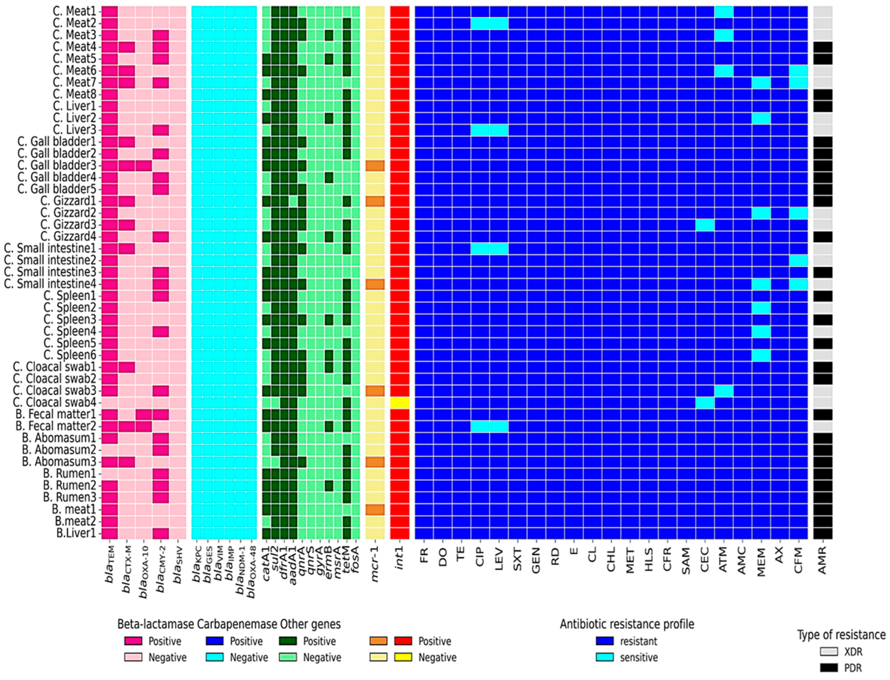 Pathogens 14 01176 g007