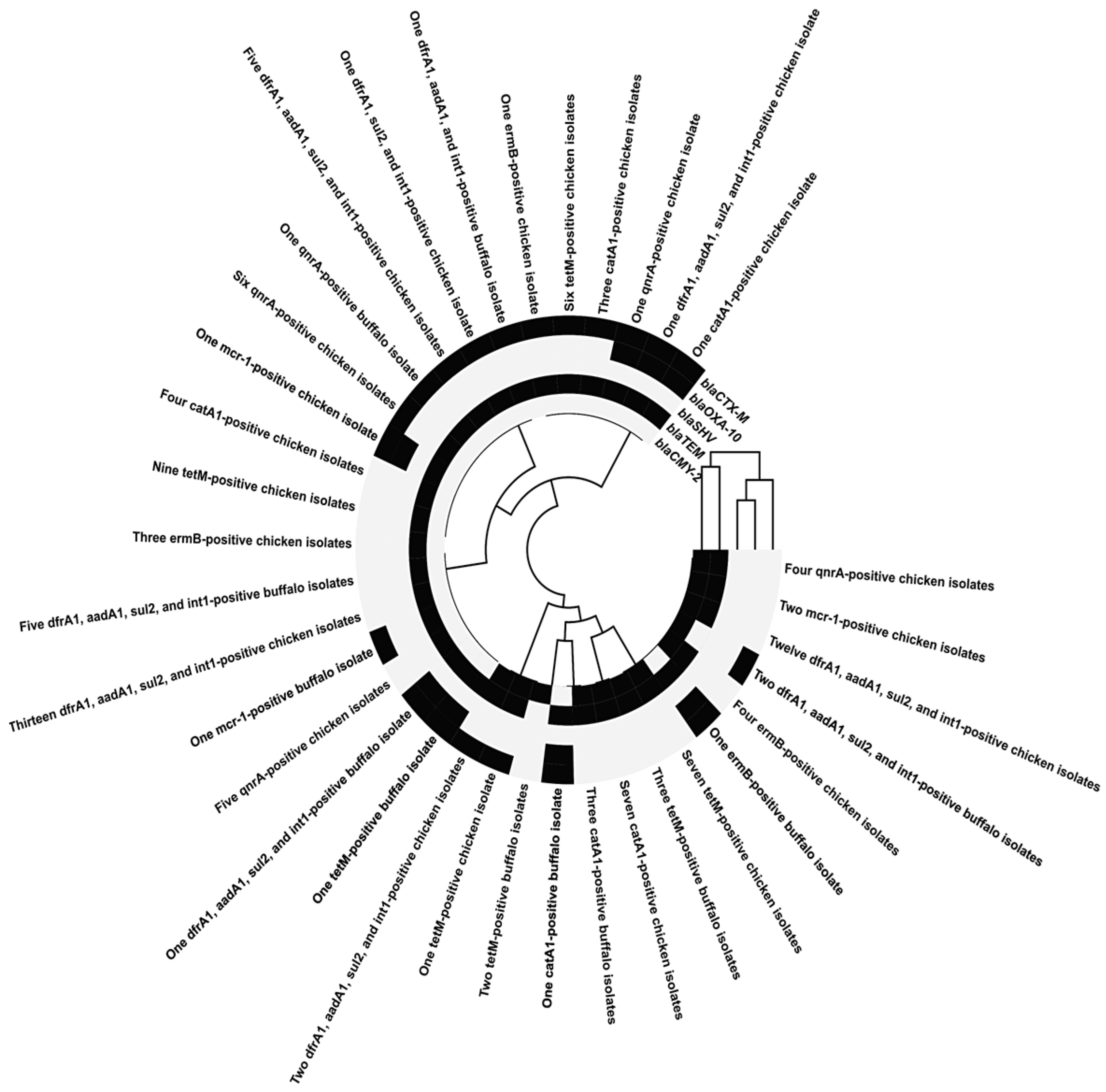 Pathogens 14 01176 g008