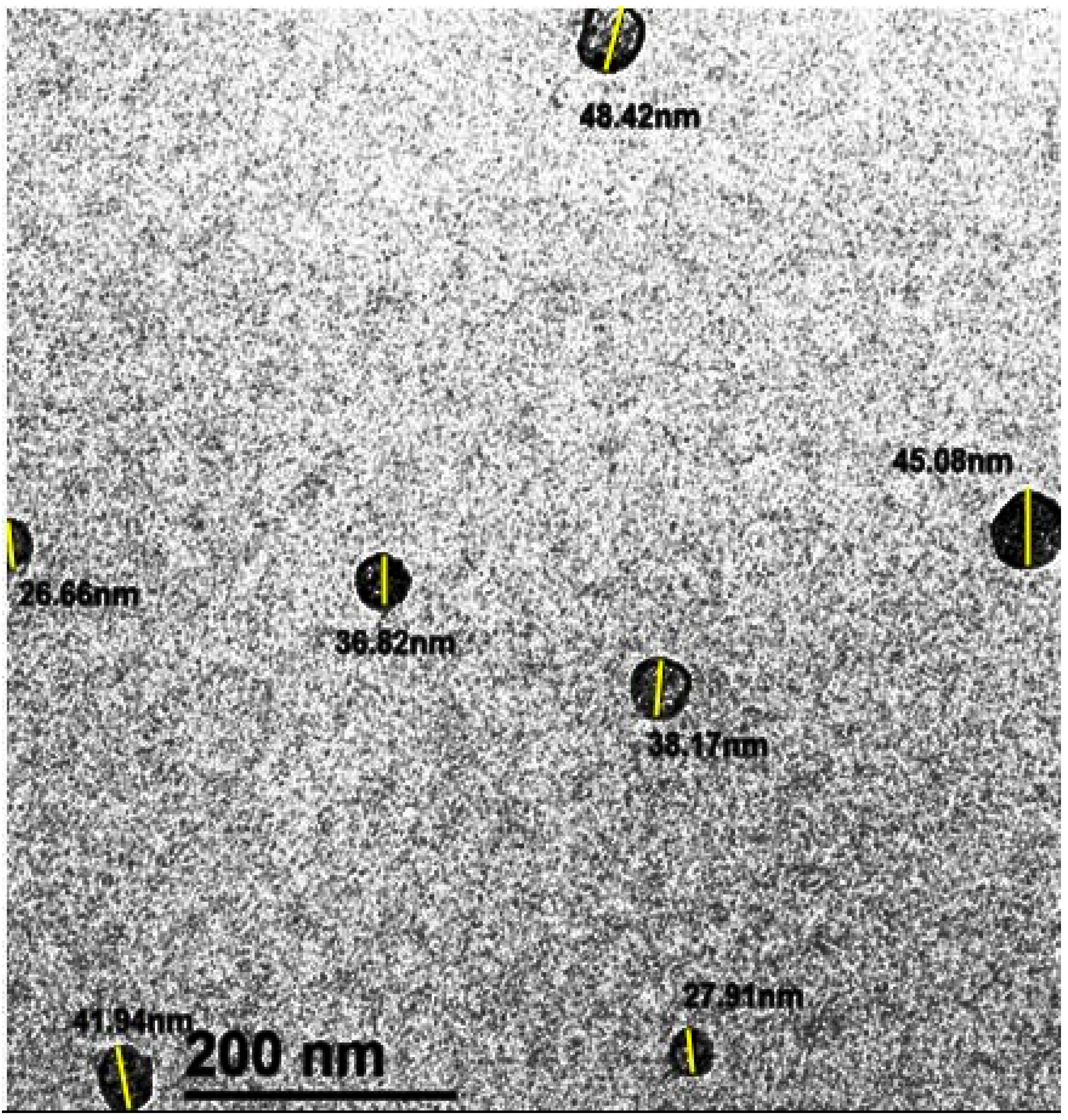 Pathogens 14 01176 g013