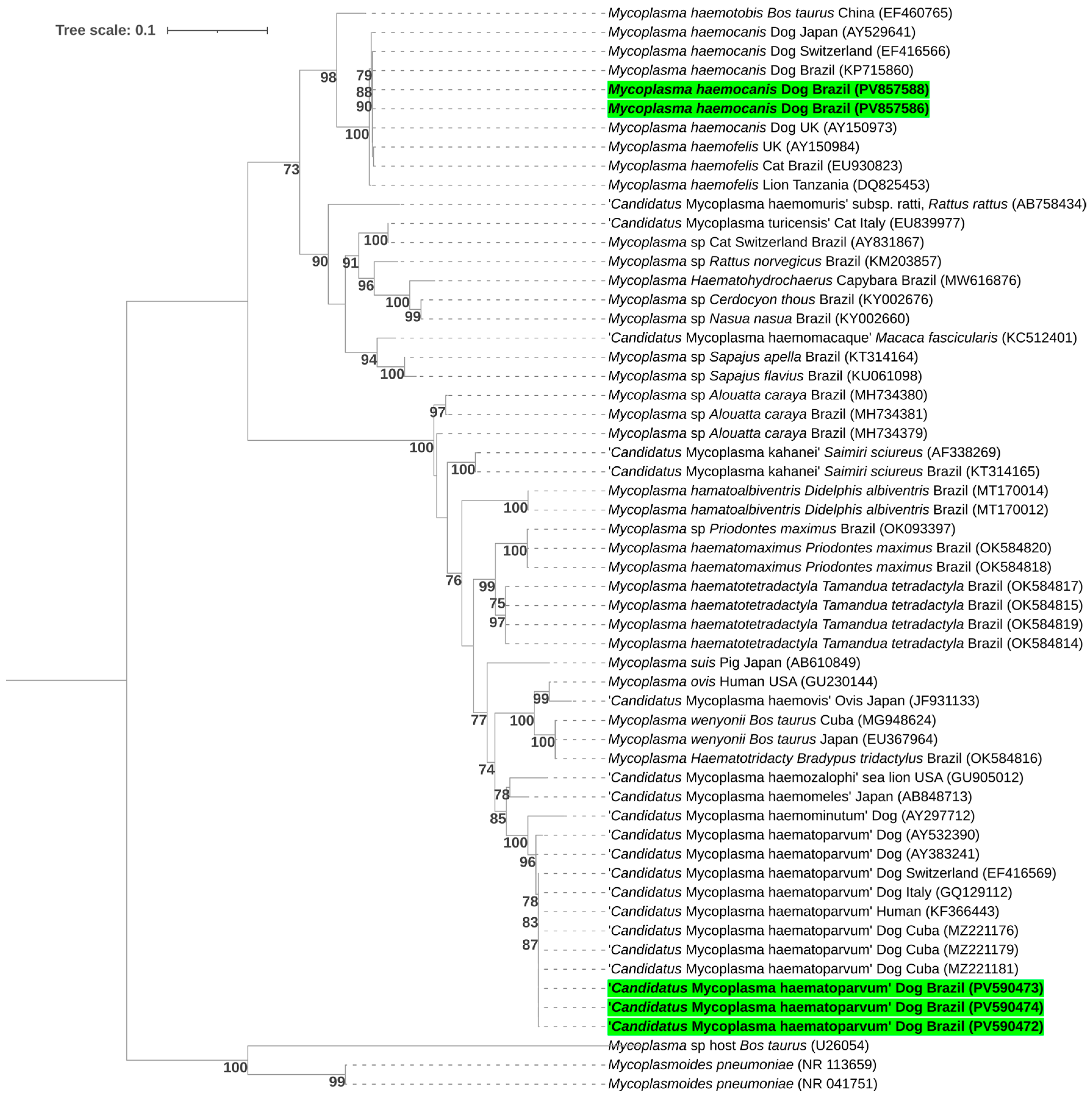 Pathogens 14 01180 g002