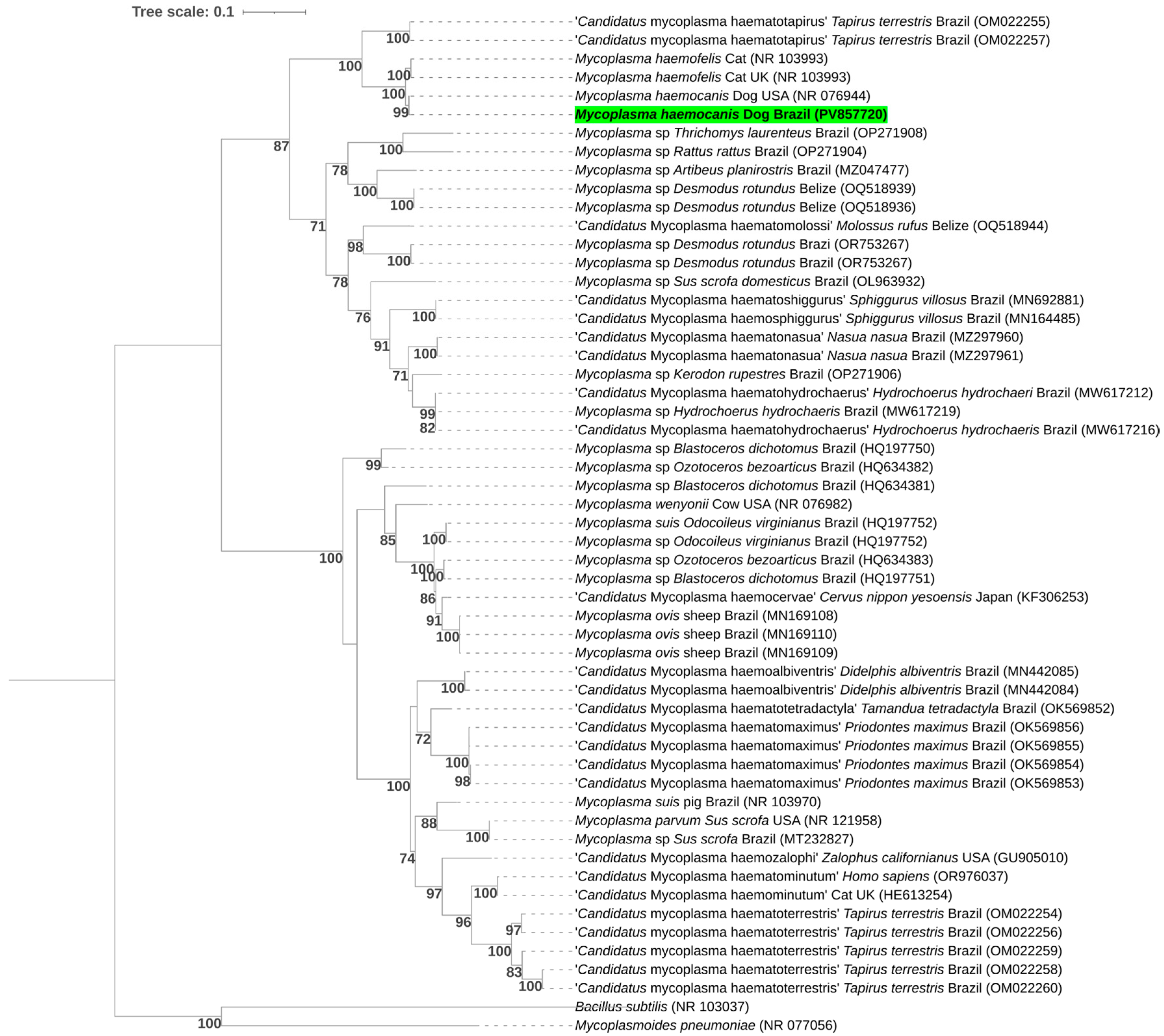 Pathogens 14 01180 g003