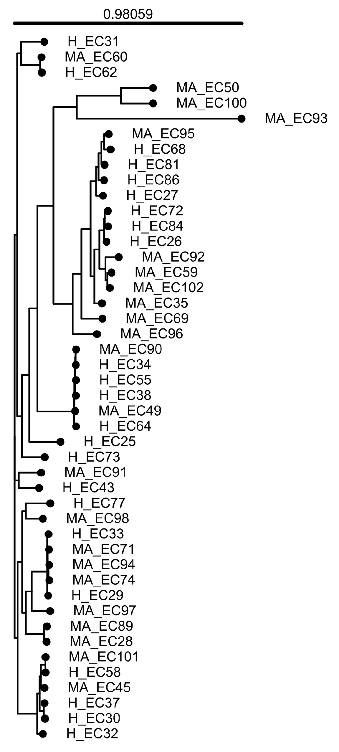 Pathogens 14 01181 g001