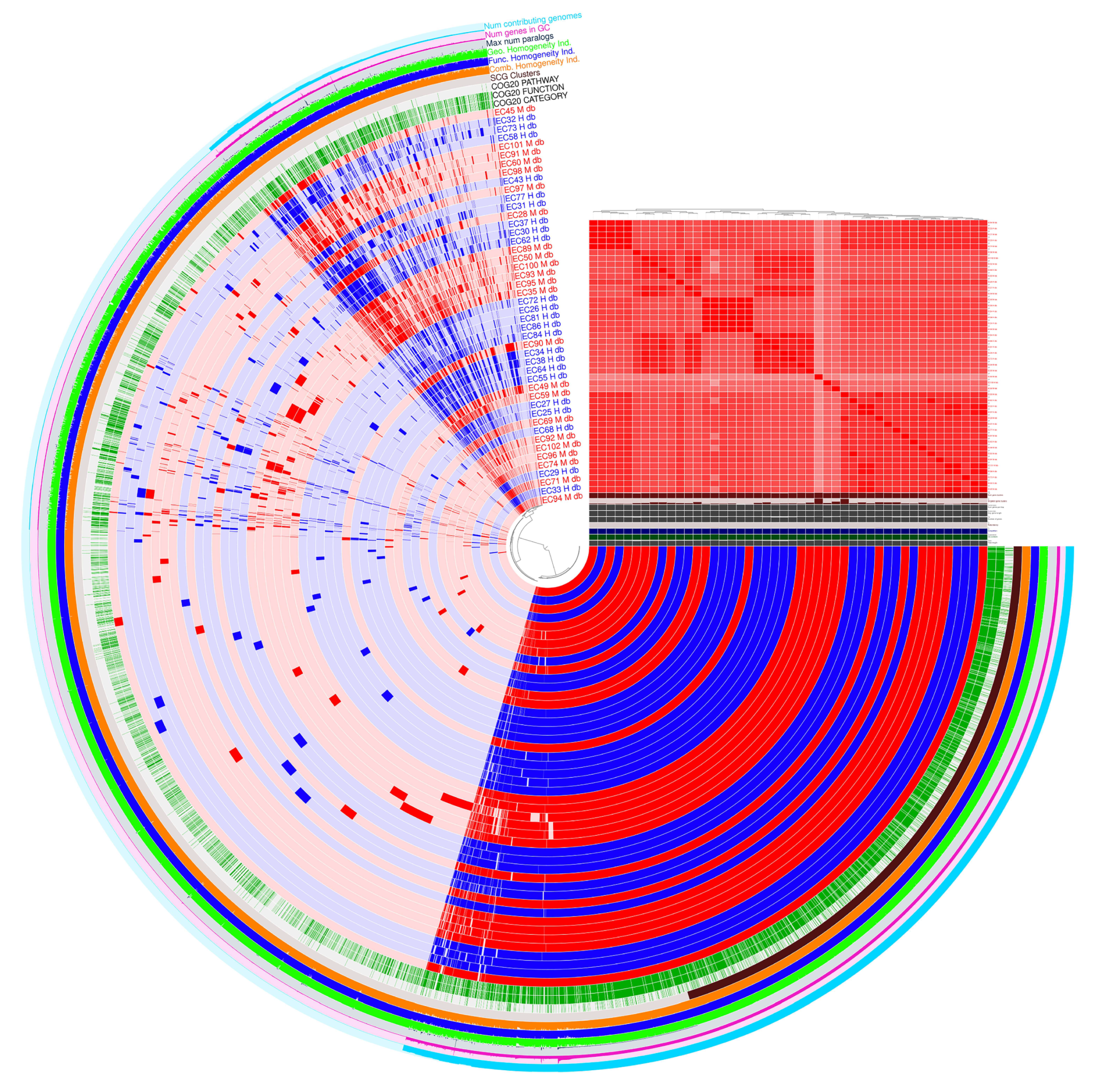 Pathogens 14 01181 g004