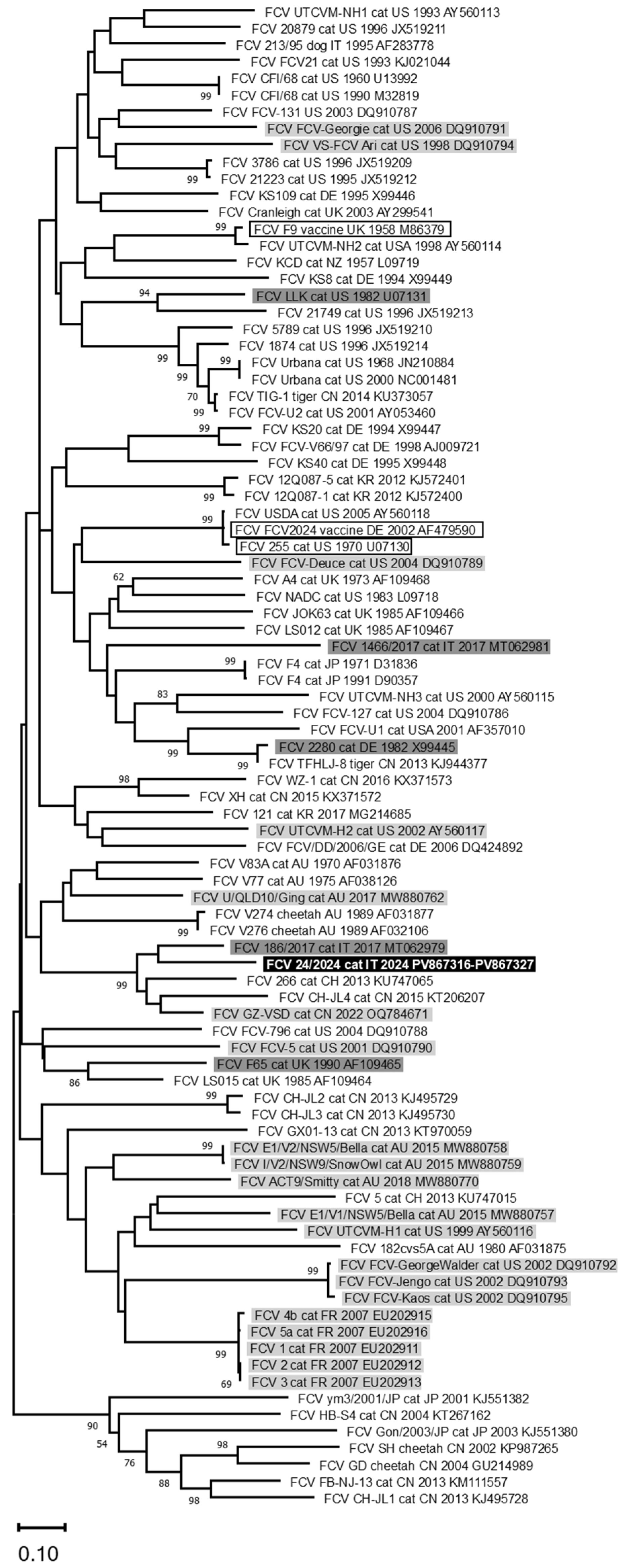 Pathogens 14 01183 g003 Pathogens 14 01183 g003